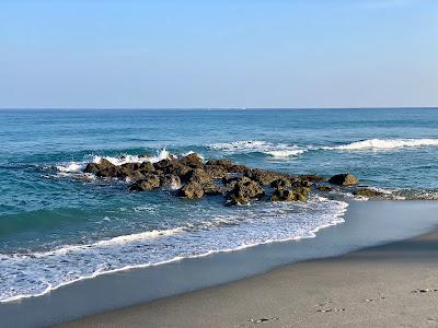 Sandee - Red Reef Park Beach