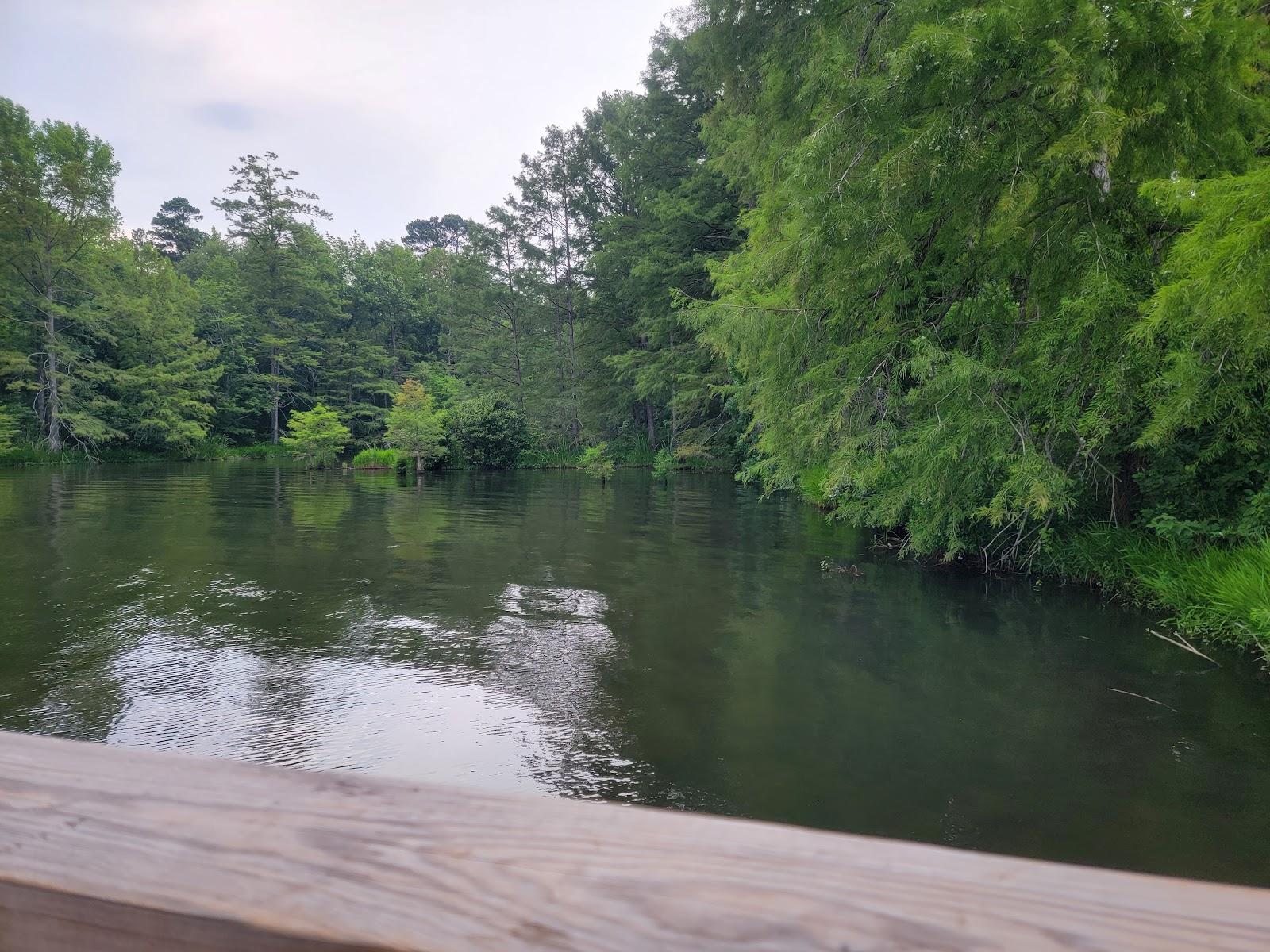 Sandee - Caney Lake Recreation Area