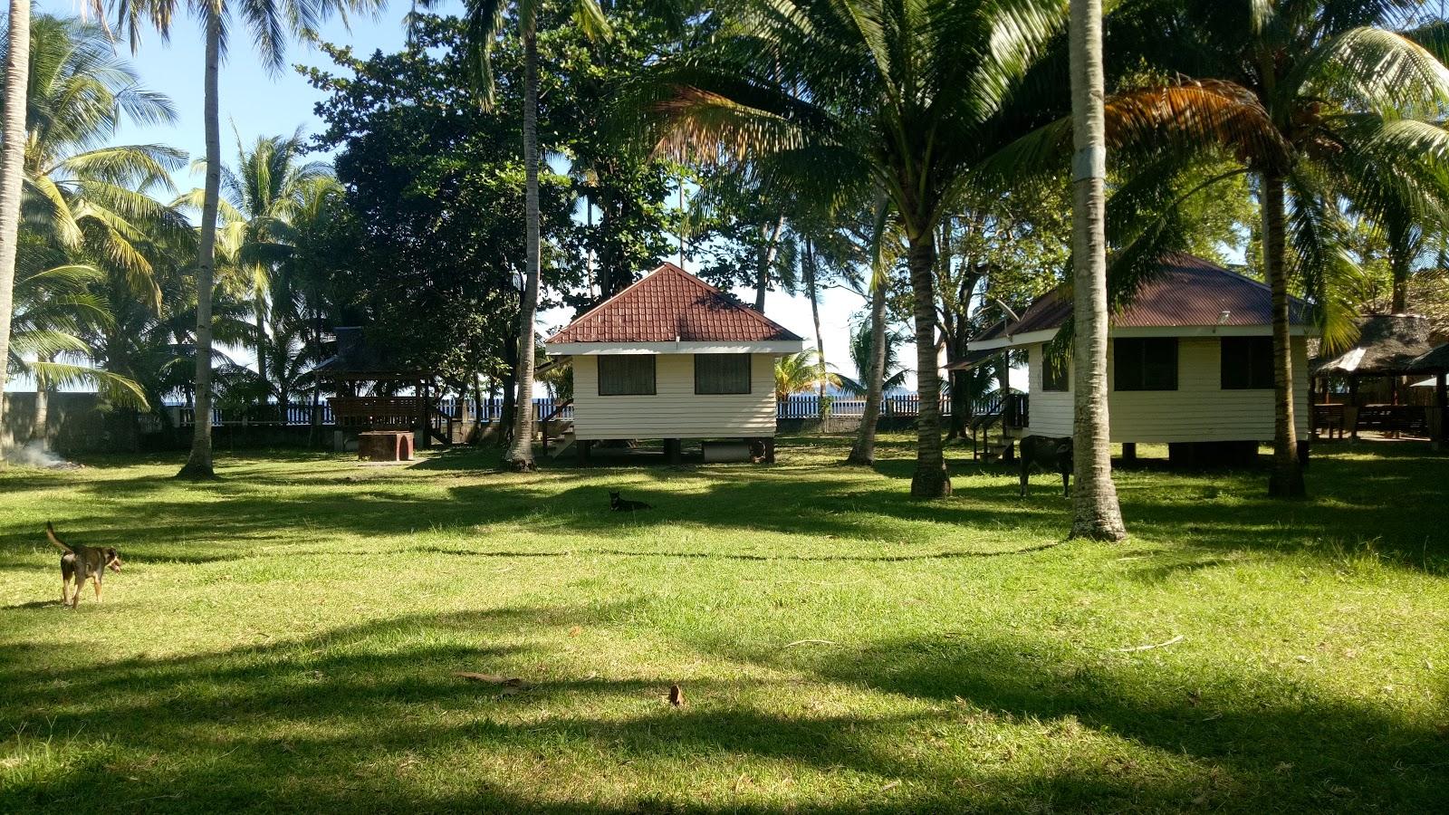 Sandee Wild Reef Beach Dive Resort