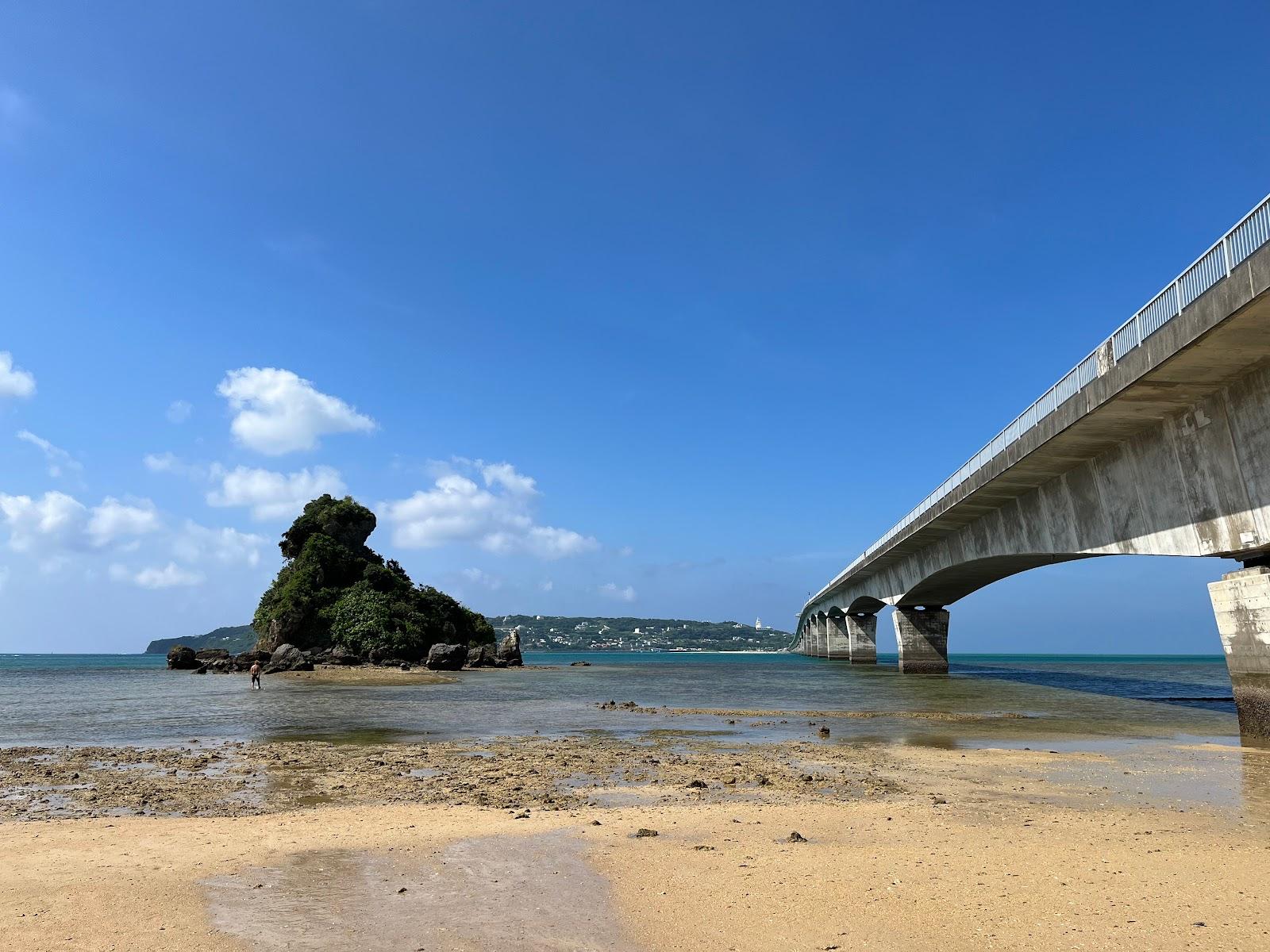 Sandee Kouri Bridge View Point