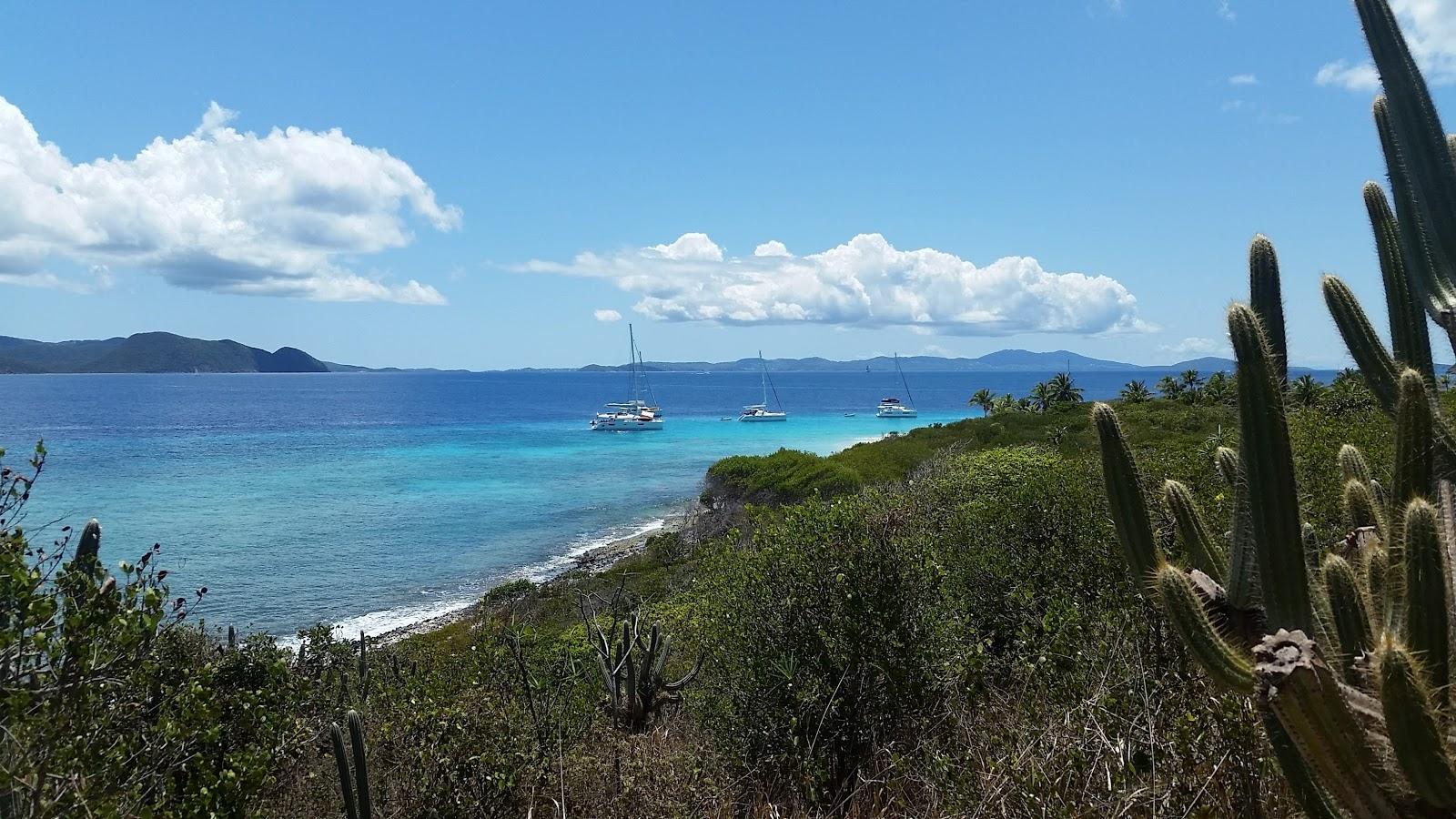 Sandee Sandy Spit Photo