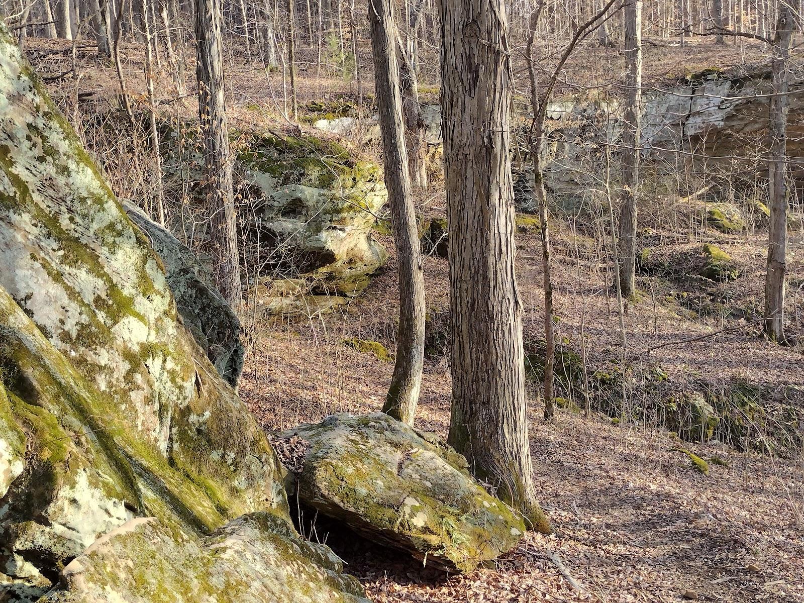 Sandee - HomePage / Hardingrove