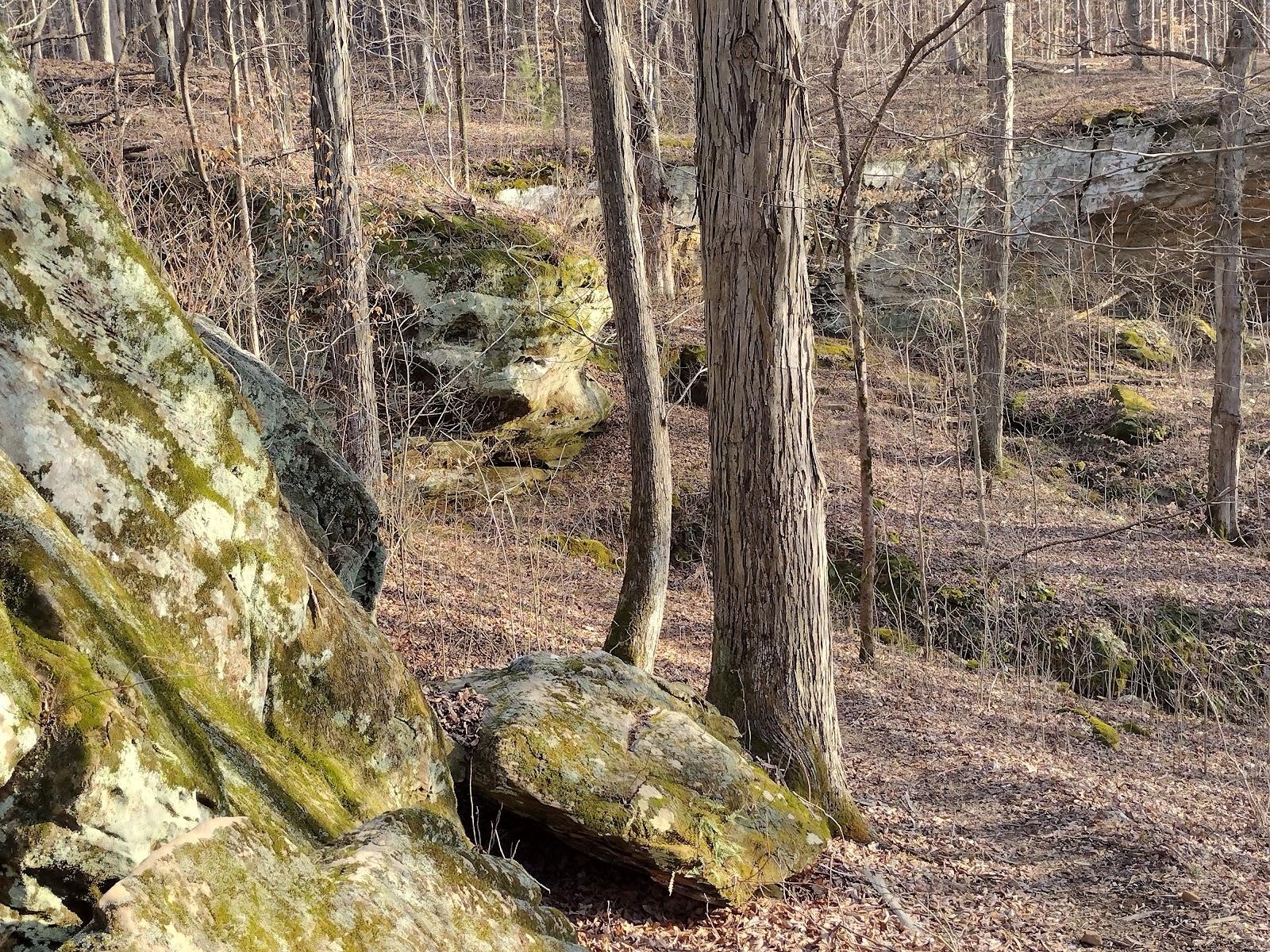 Sandee German Ridge Recreation Area Photo