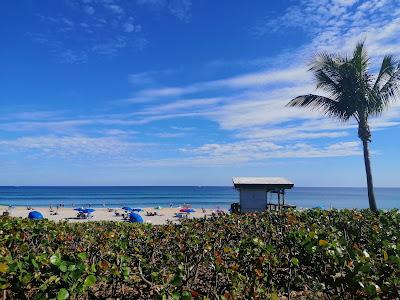 Sandee - Ocean Ridge Hammock Park