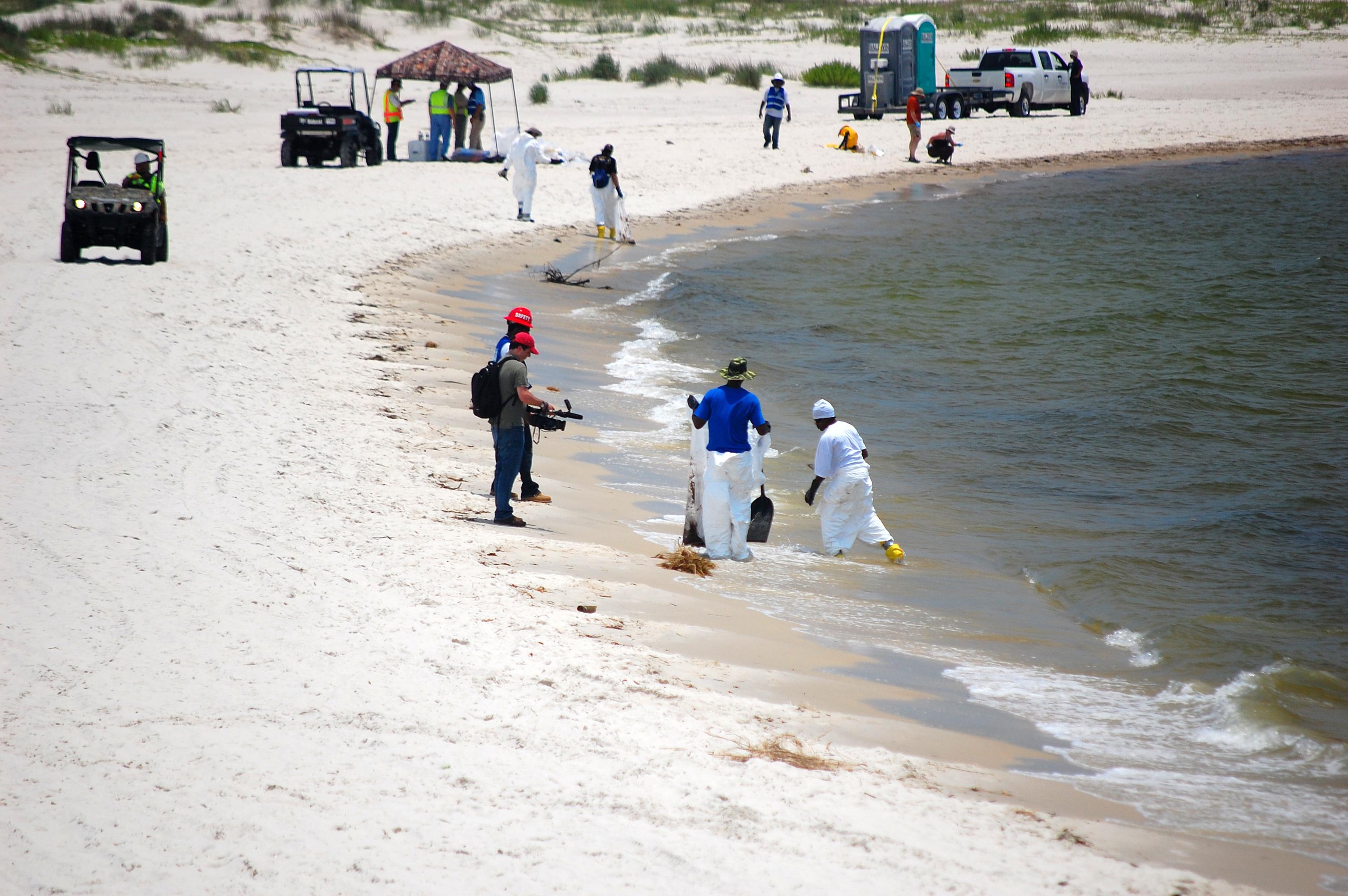 Sandee - Gulf Shores Public Beach