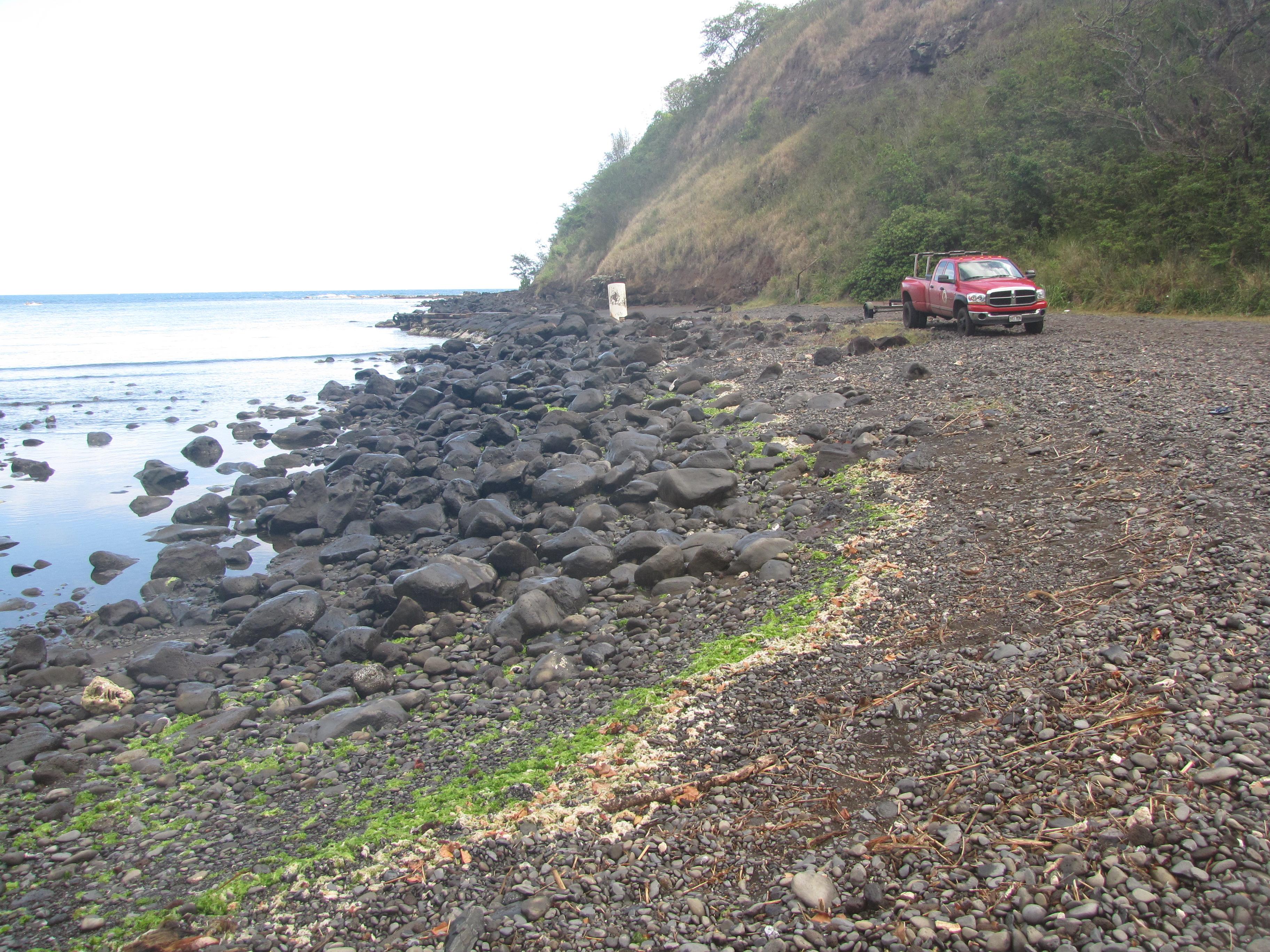 Sandee - Maliko Bay Beach