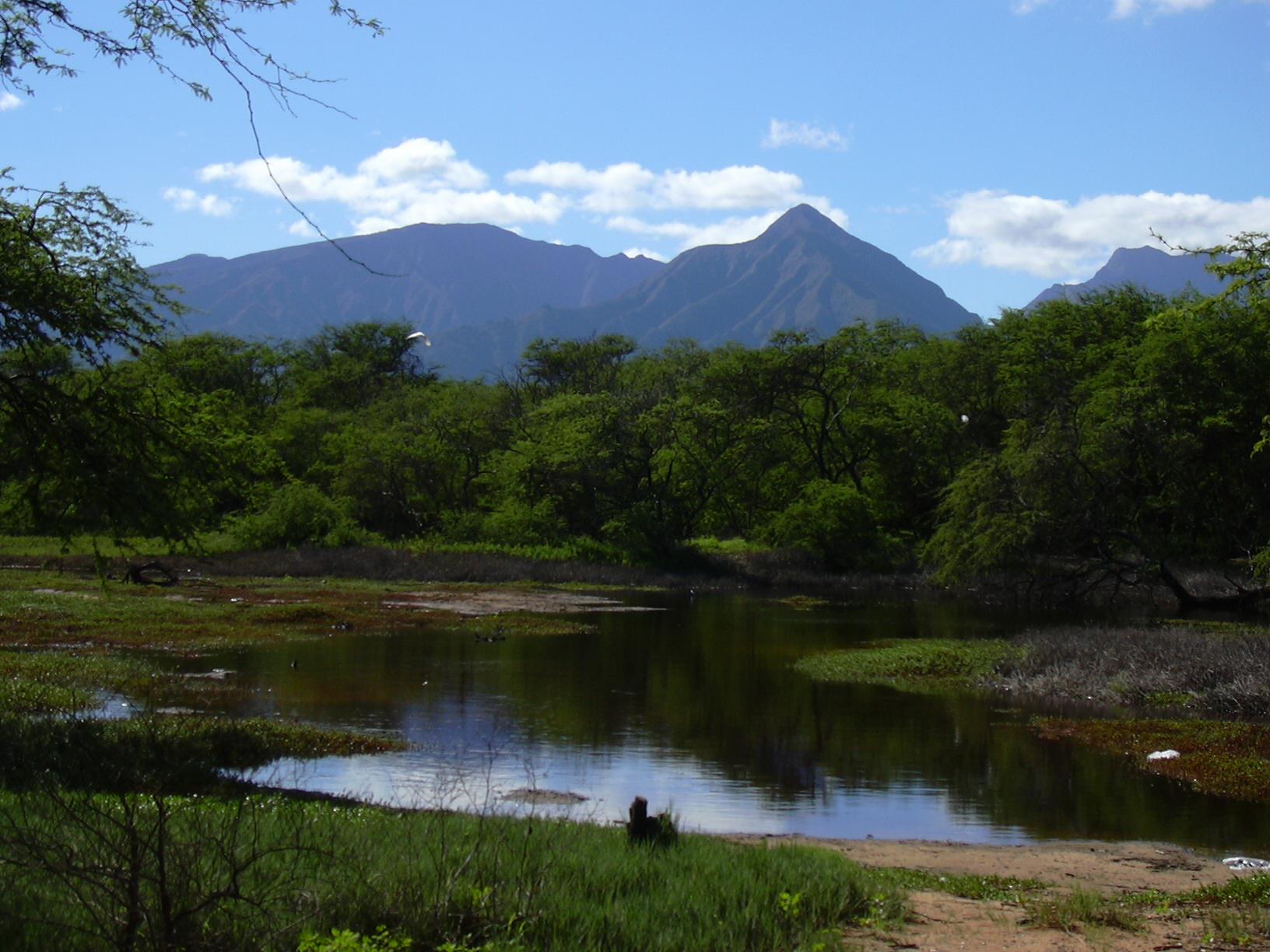 Sandee - HomePage / Mesquite Creek