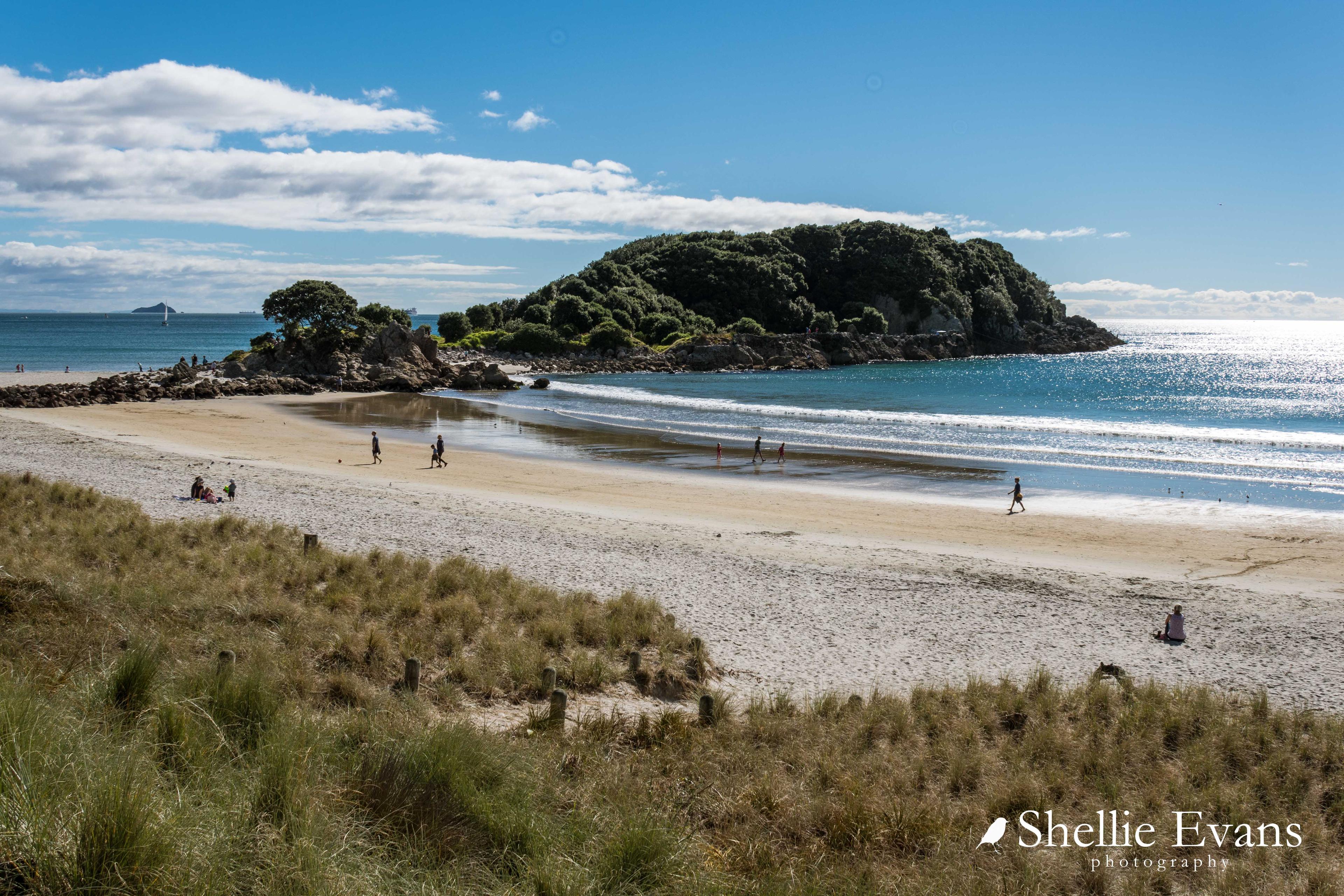 Sandee - Maunganui Beach