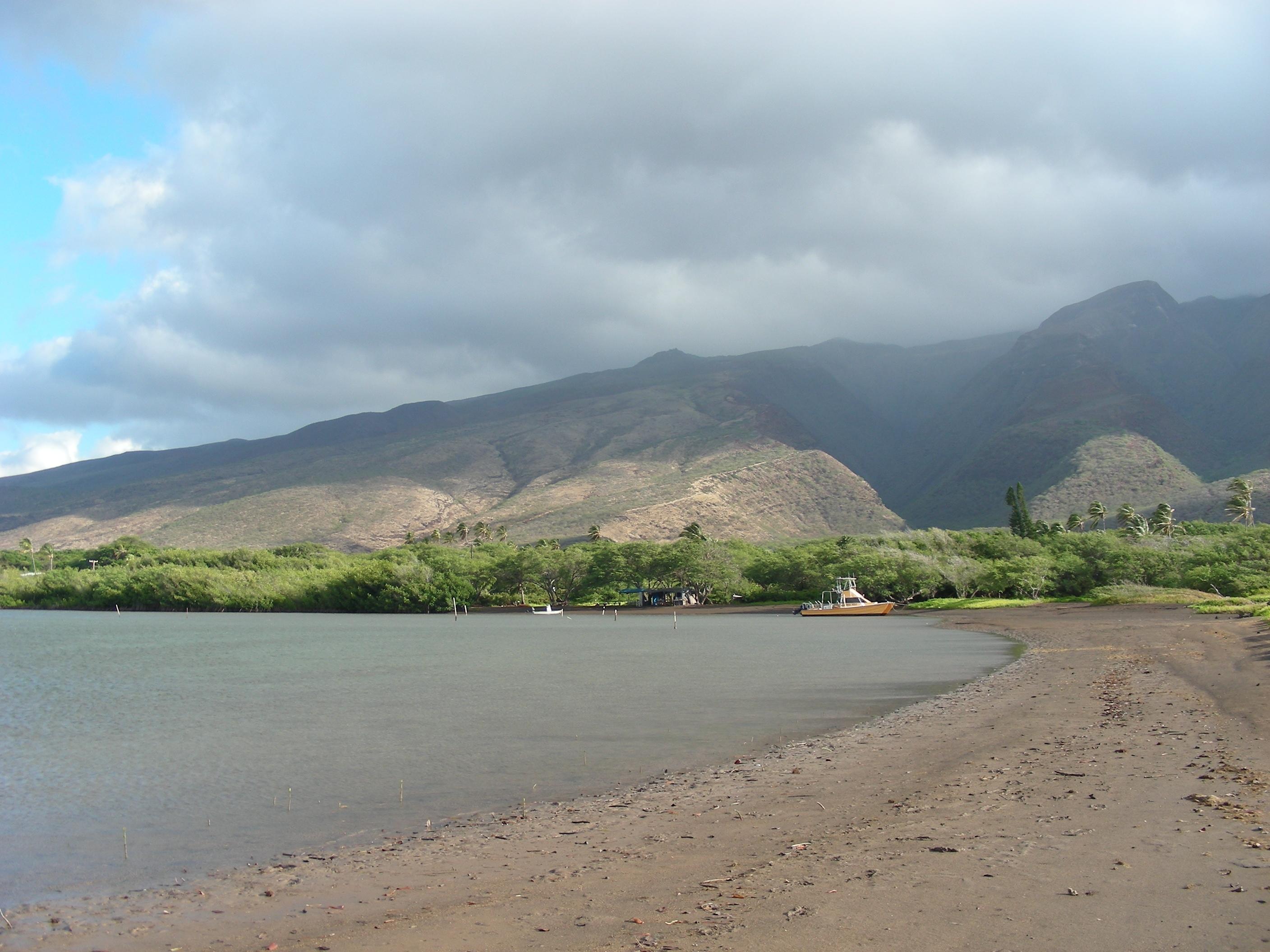 Sandee - Kamalo Beach