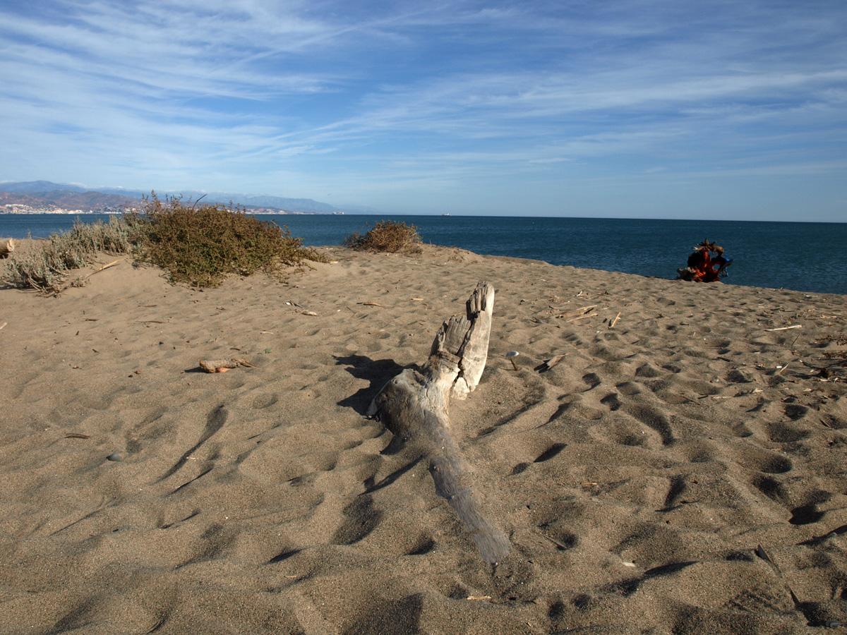 Sandee - Playa Del Guadalhorce