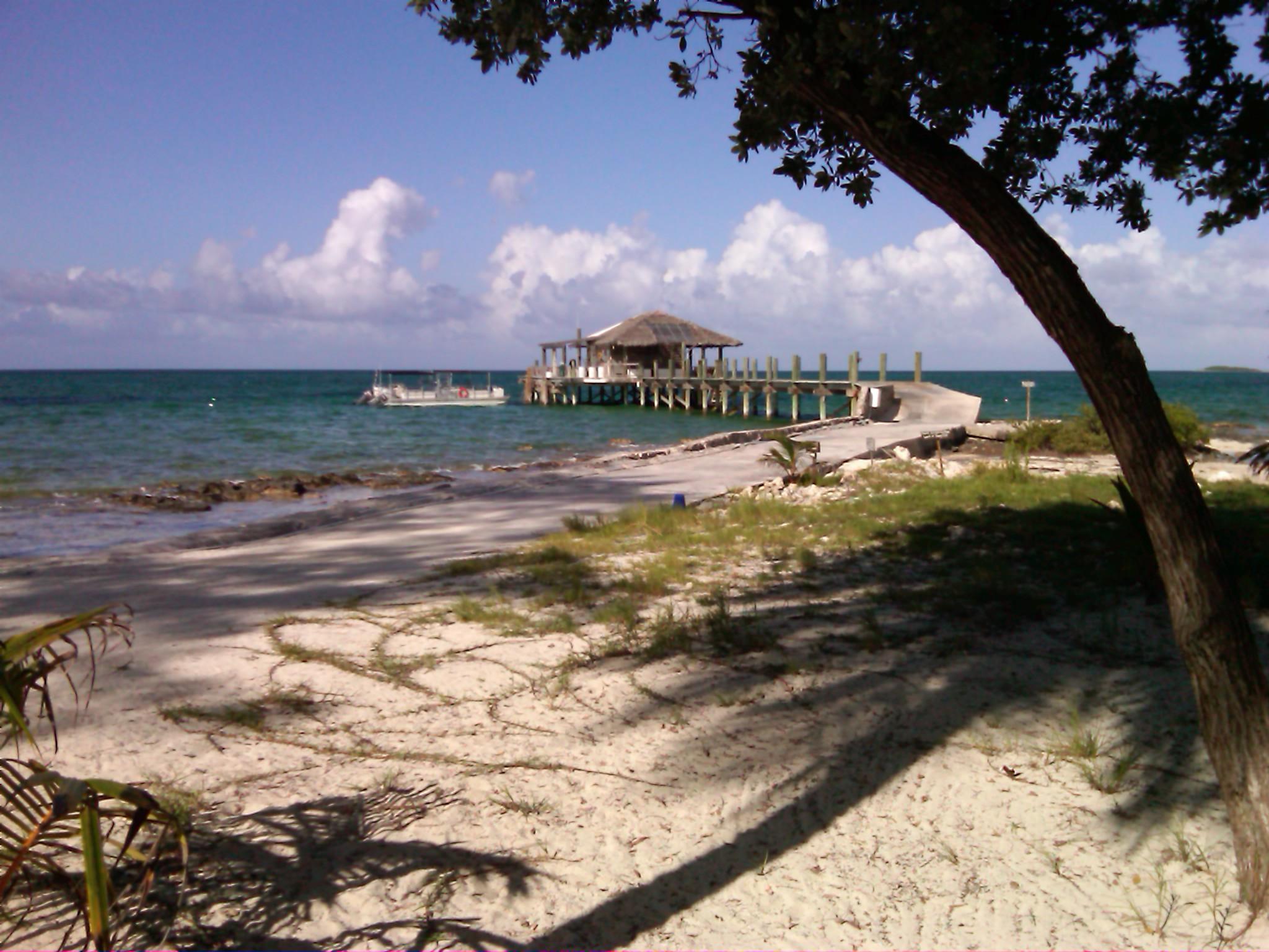 Sandee - Small Hope Bay Beach