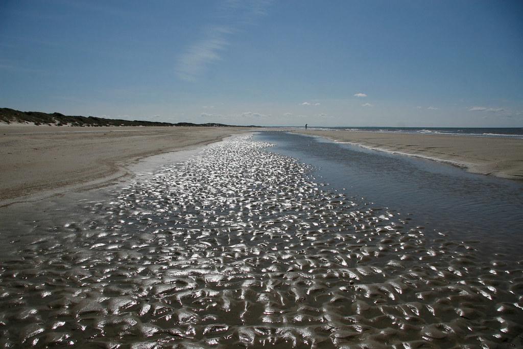 Sandee - Rødhus Strand