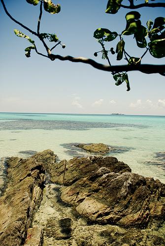 Sandee - Pongkar Beach