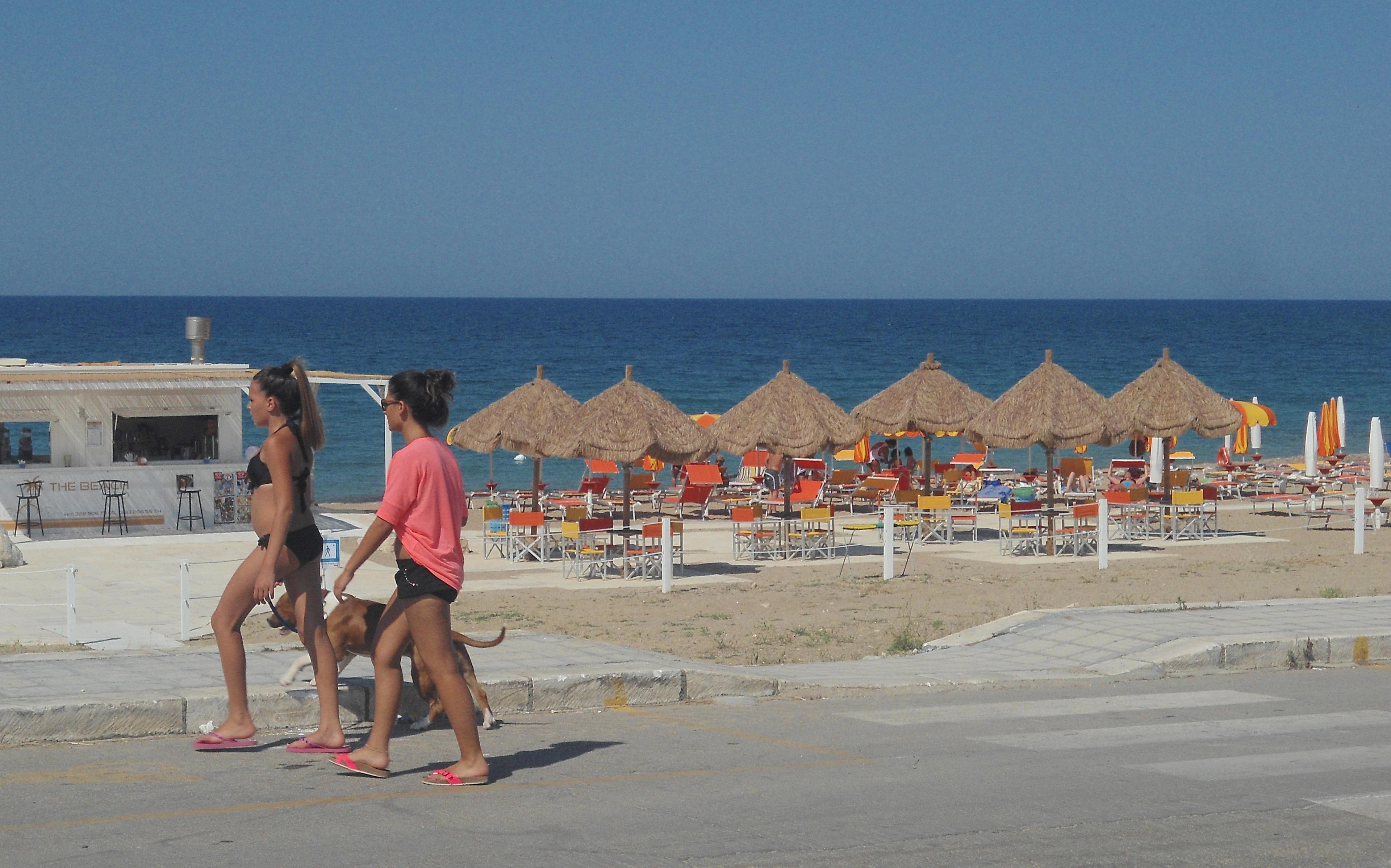 Sandee Fido Beach- Spiaggia Per Animali Photo