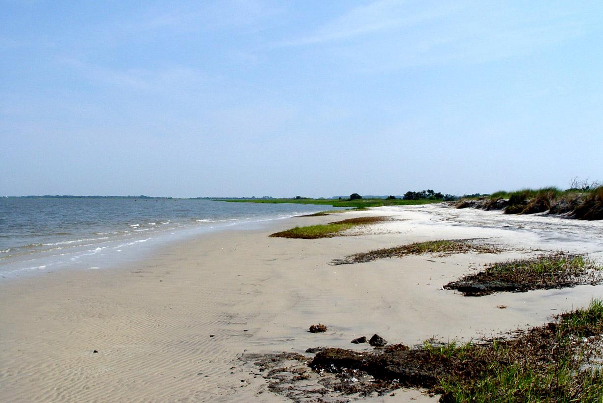 Sandee - St. Andrews Beach