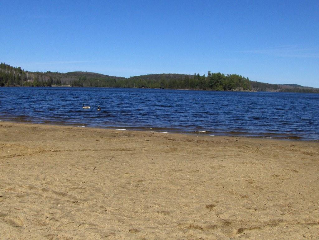 Sandee - HomePage / Algonquin