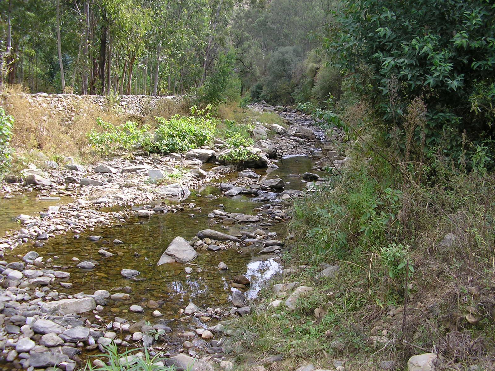 Sandee - HomePage / Tarija