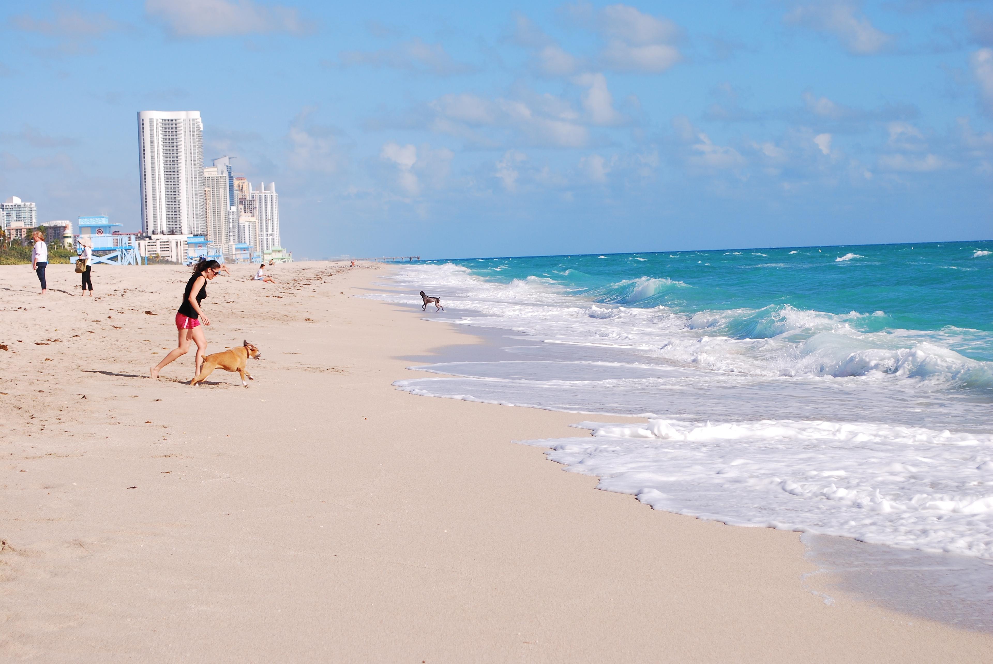 Sandee - Haulover Beach