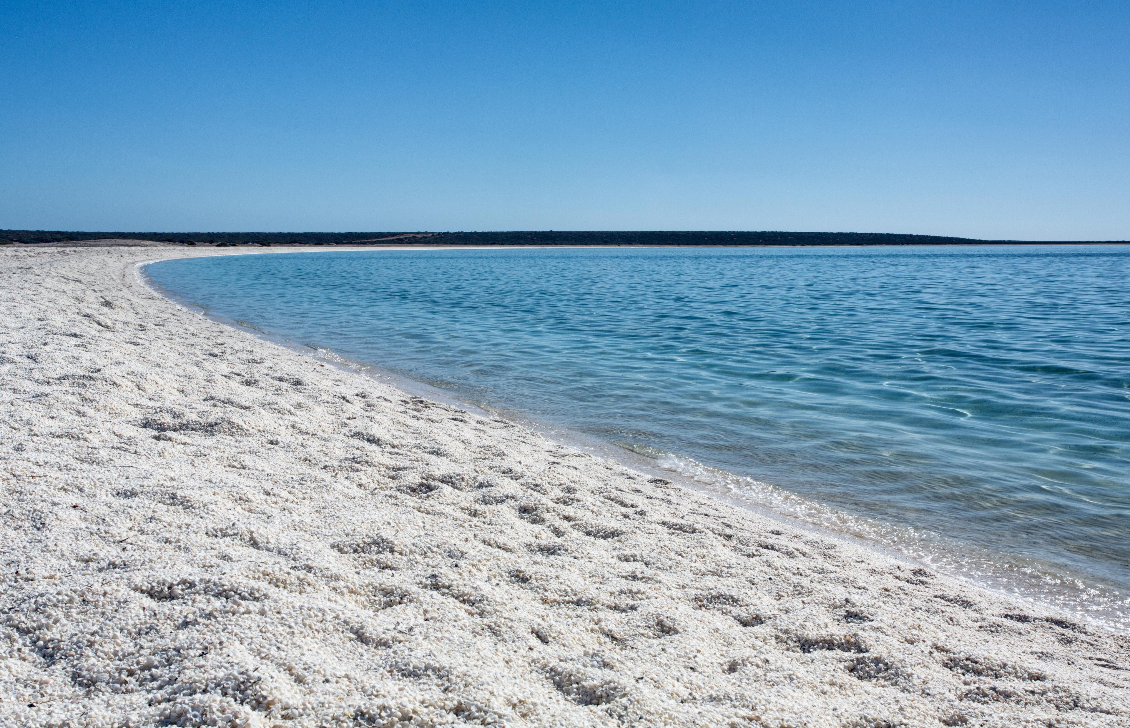 Sandee Shell Beach Photo