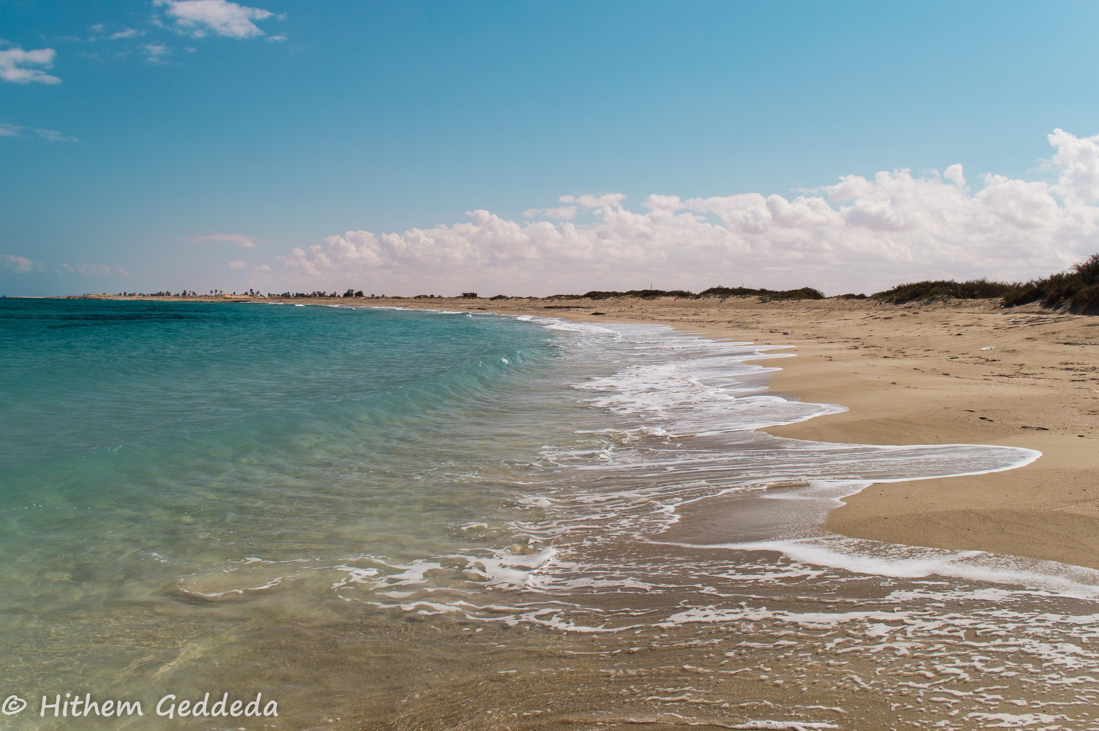 Sandee - HomePage / Surt