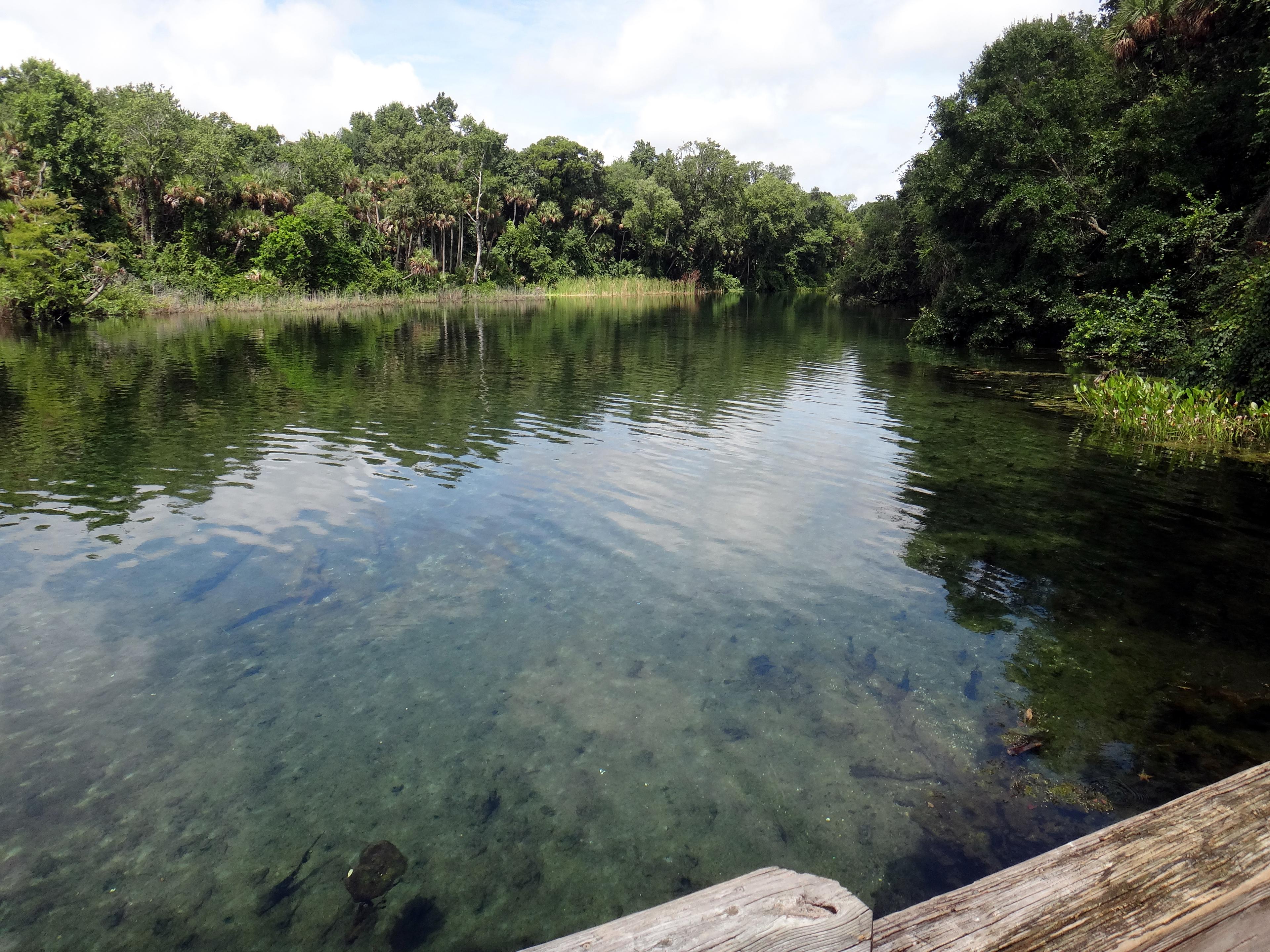 Sandee - Alexander Springs Recreation Area