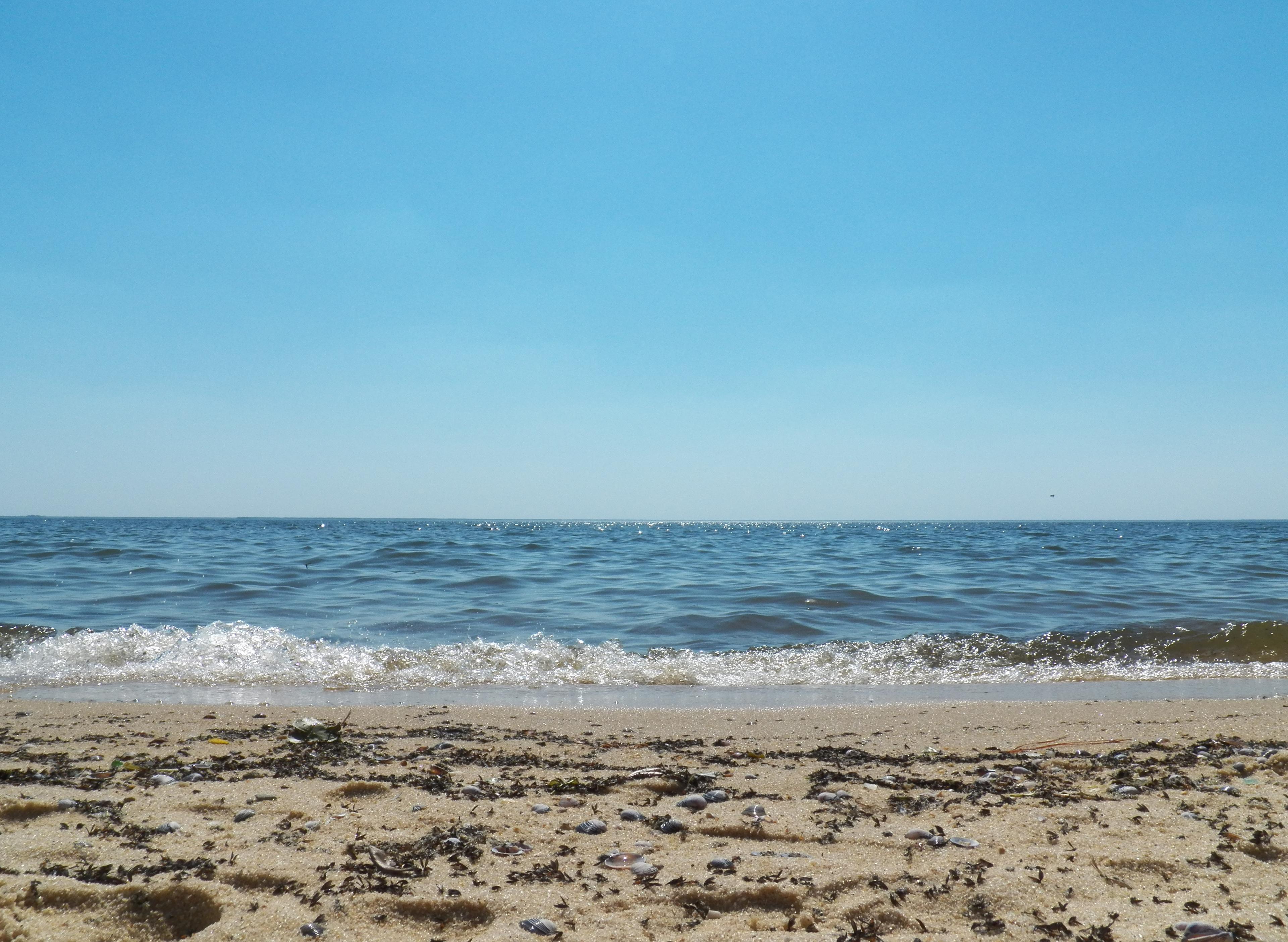 Bonneau Beach United States, South Carolina, Bonneau