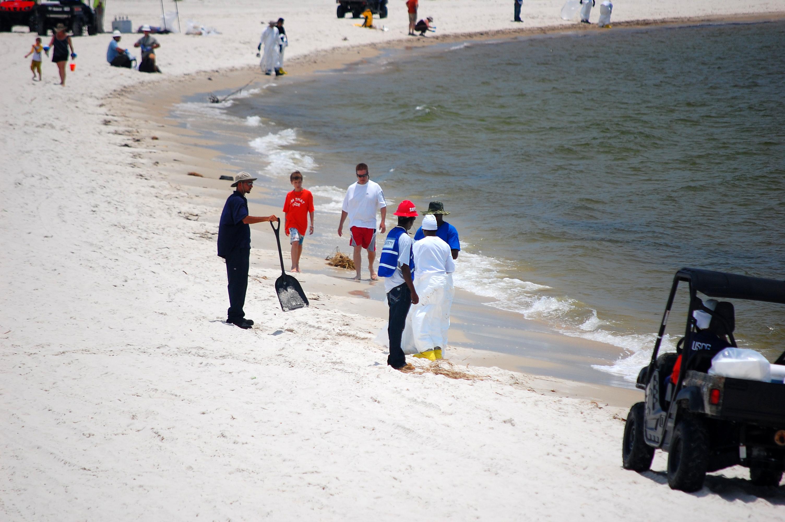 Sandee - Gulf Shores Public Beach