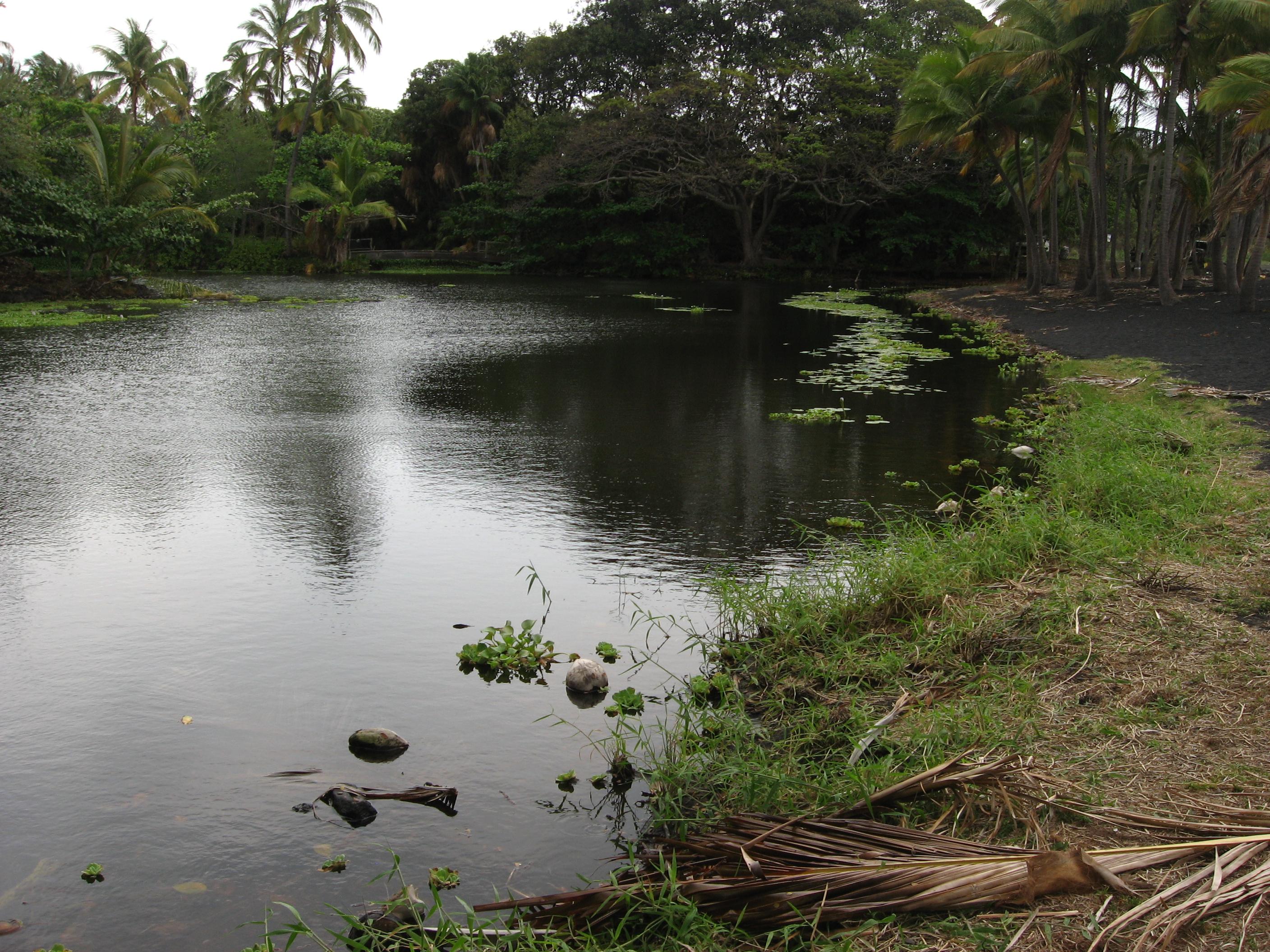 Sandee Ninole Cove