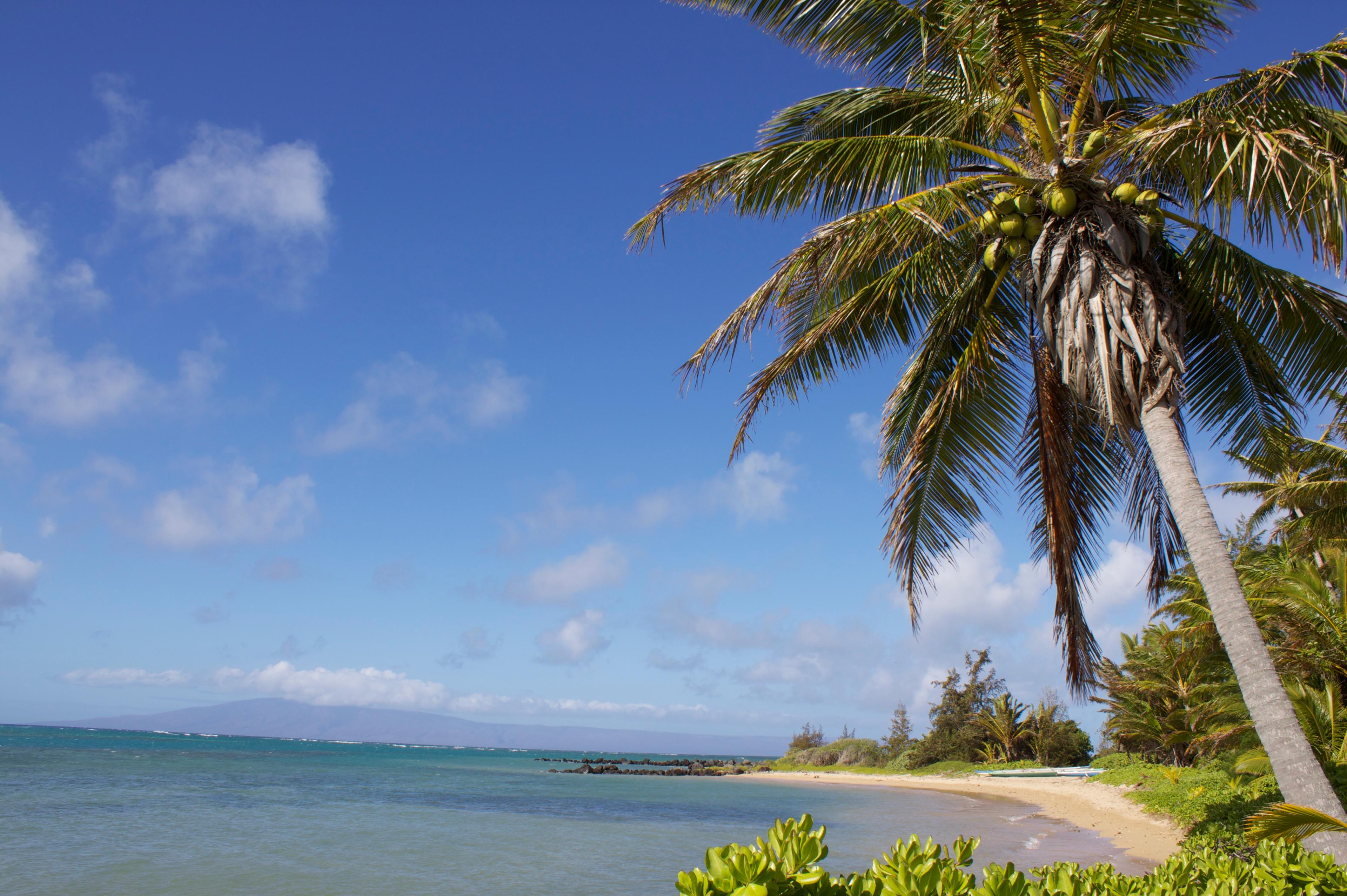 Sandee - Pukoo Beach