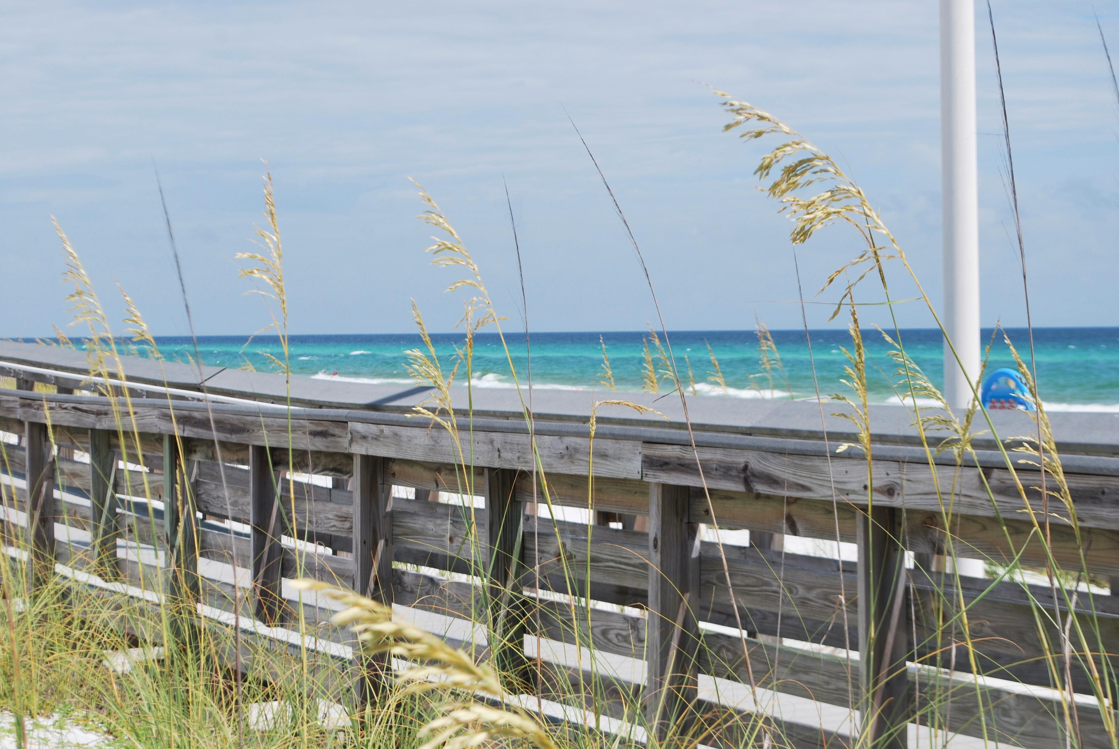 Sandee - Dune Allen Beach Access