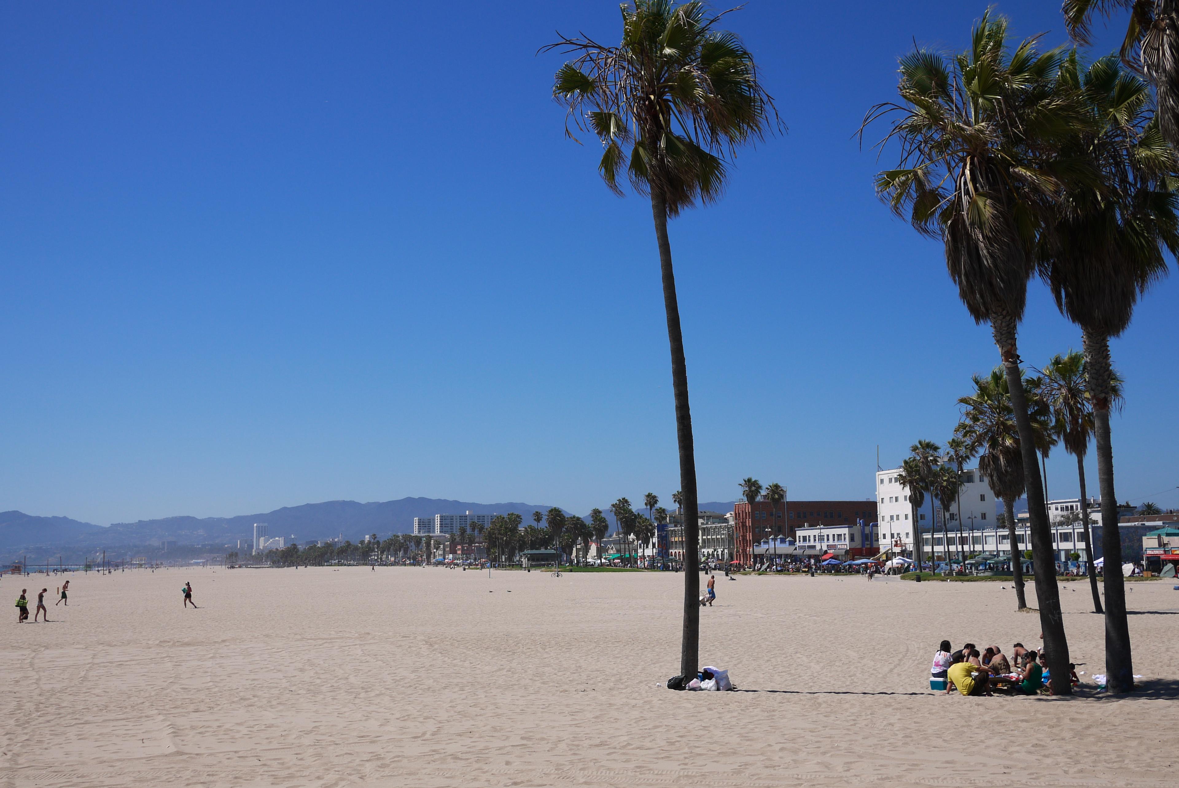 Sandee Venice Public Beach Photo