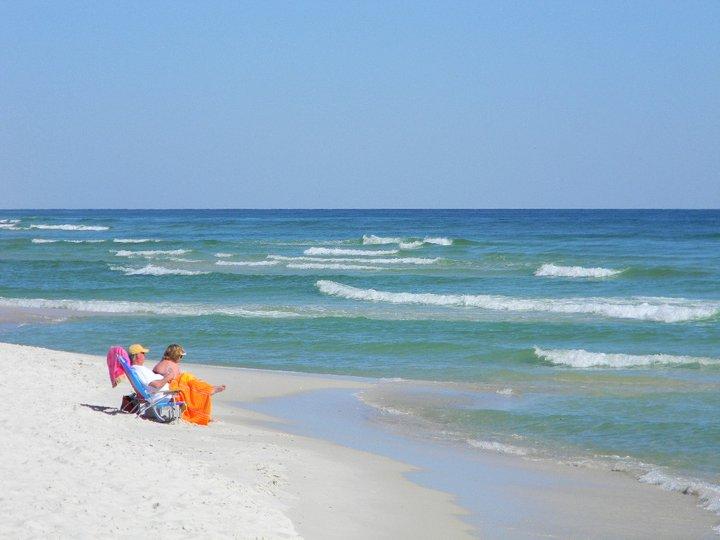 Sandee - Gulf Shores Public Beach