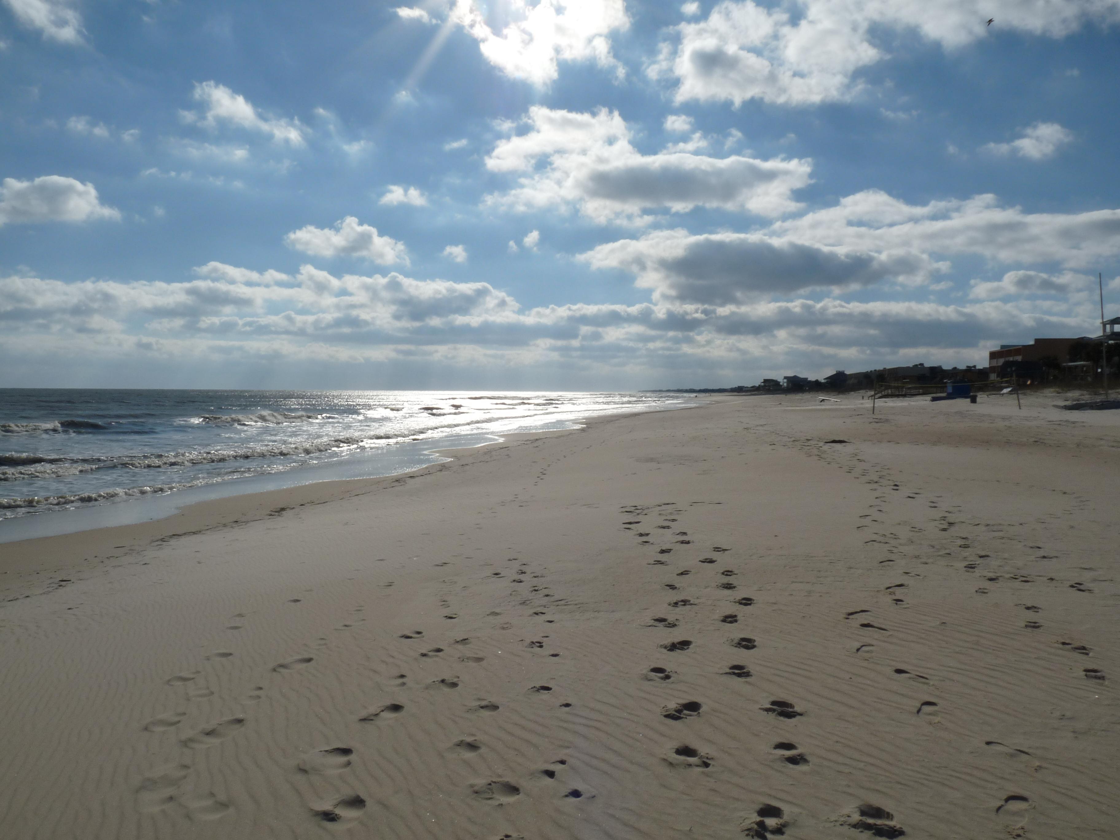 Sandee St George Island Beach Photo