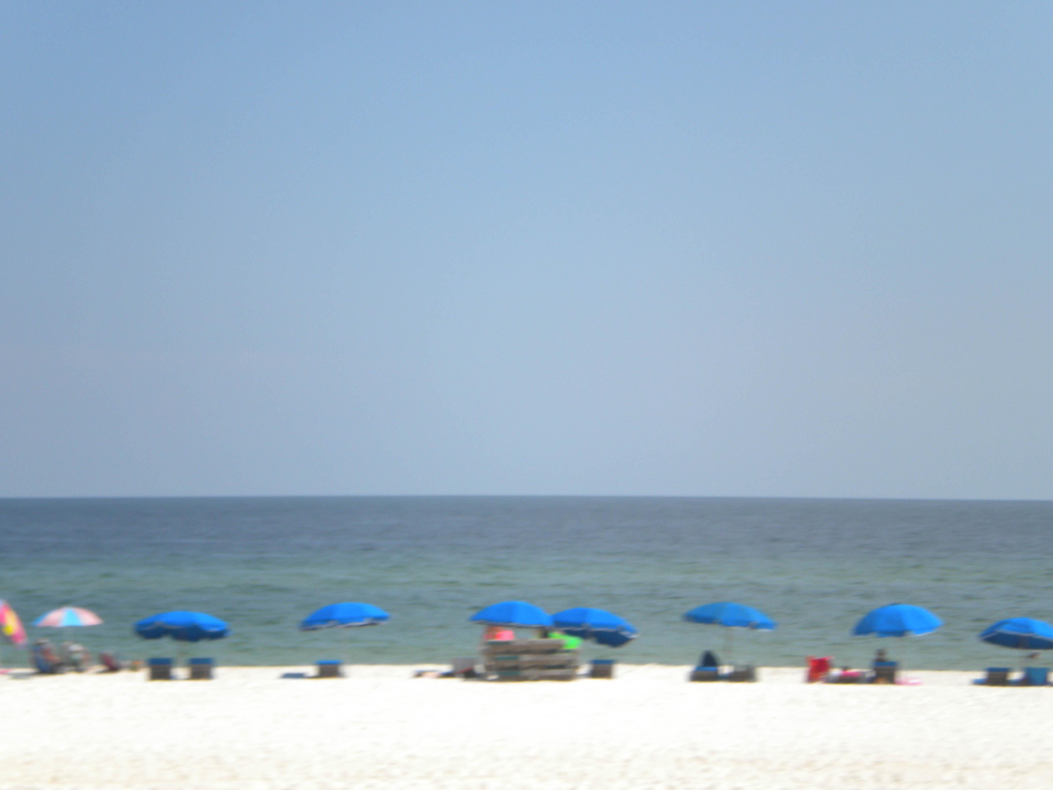 Sandee - Gulf Shores Public Beach