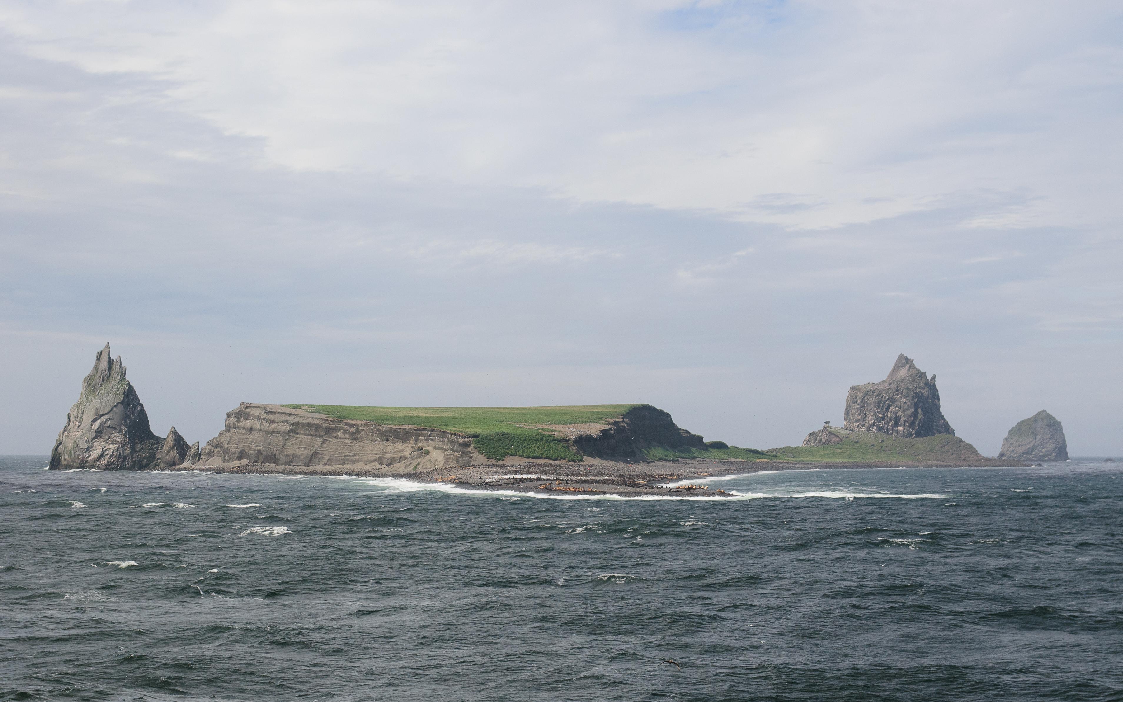 Bogoslof Island Photo - Sandee