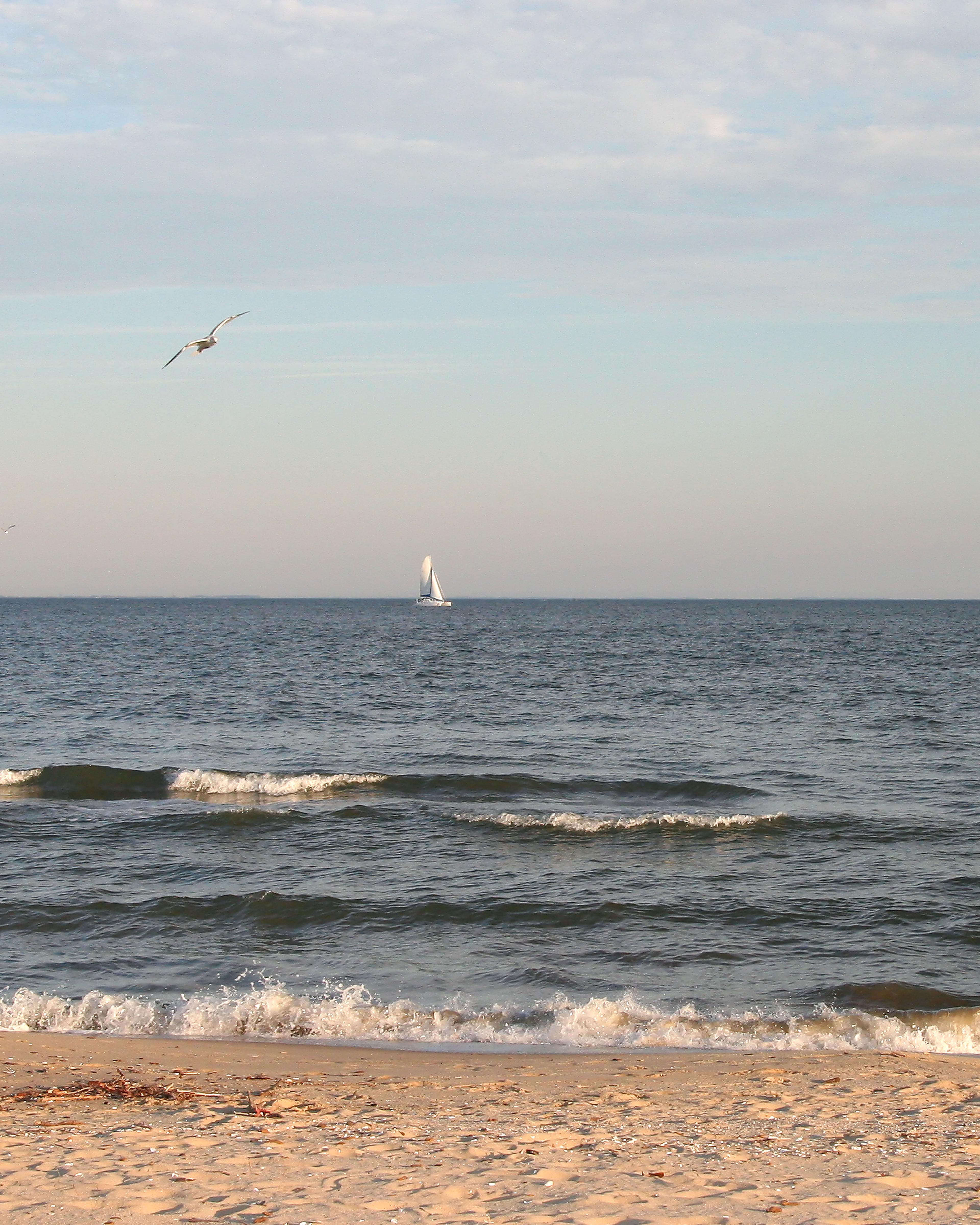 Sandee Seahorse Beach