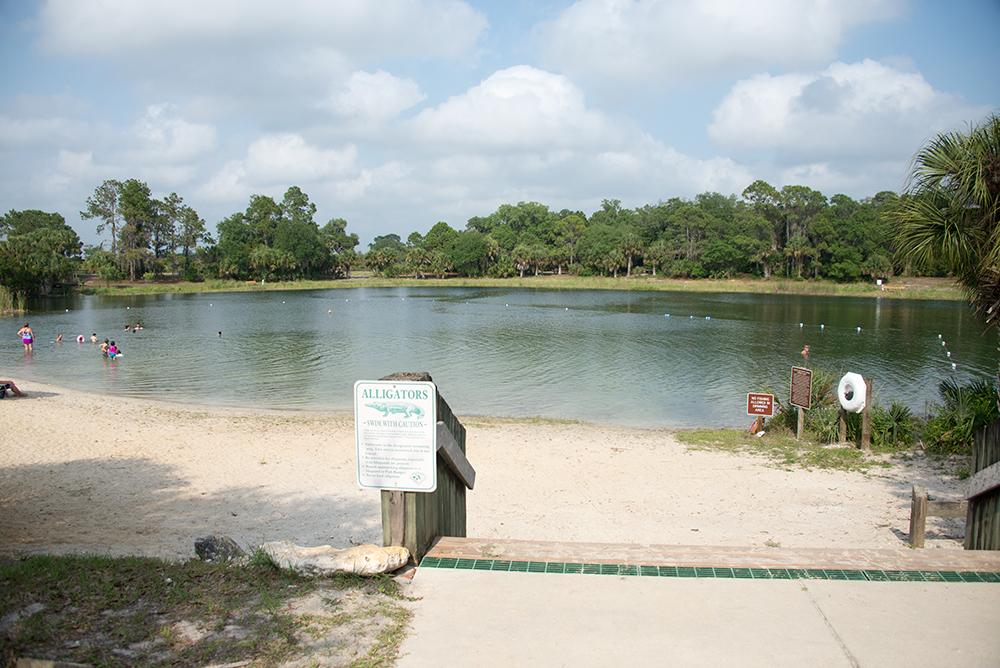 Sandee Oscar Scherer State Park Beach Photo