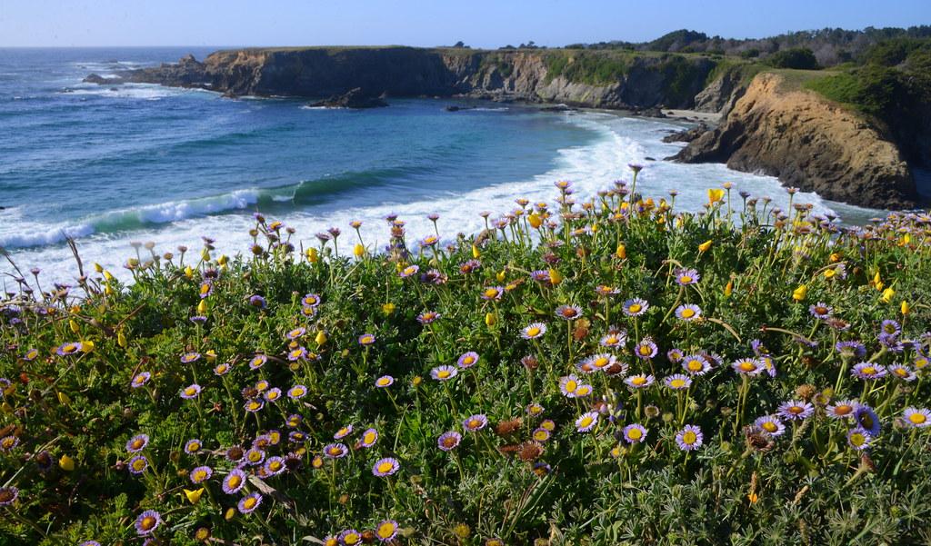 Sandee - Jug Handle State Reserve