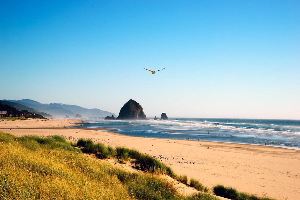 Seashore Surfperch Fishing - Oregon Coast - Oregon Discovery