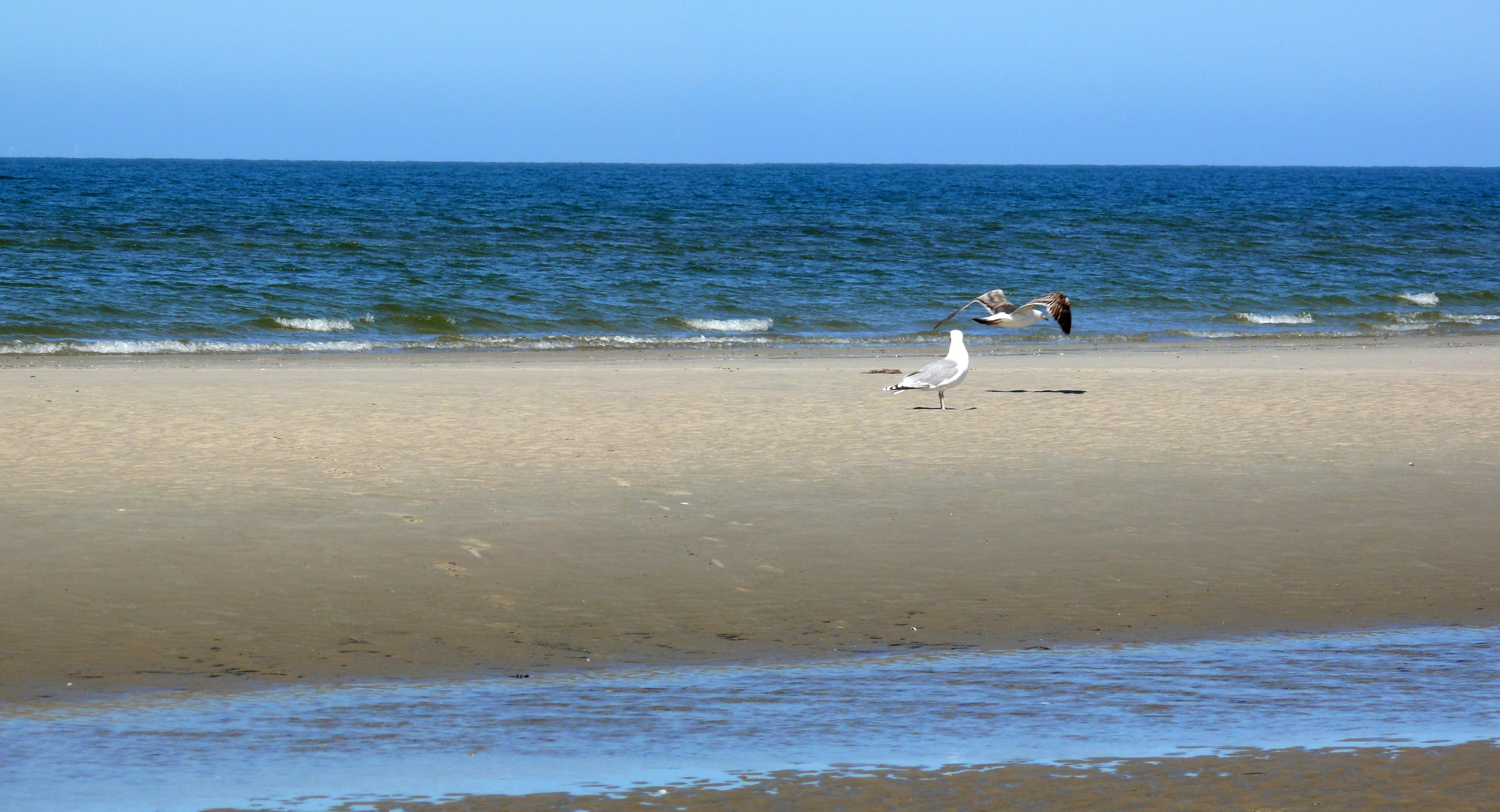 Sandee - Rindby Strand