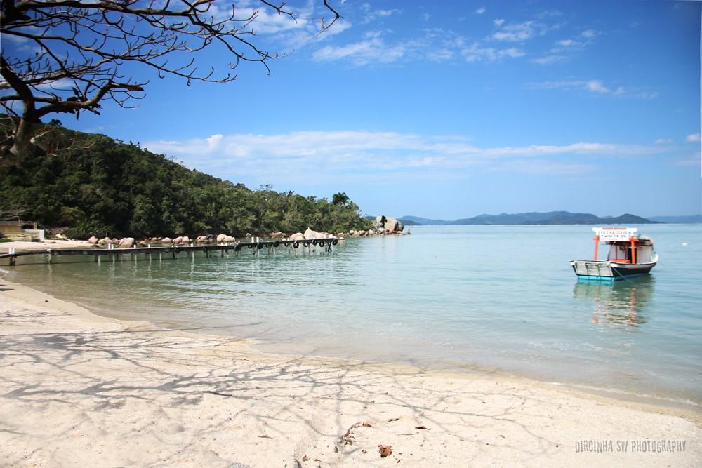 Sandee Baia dos Golfinhos