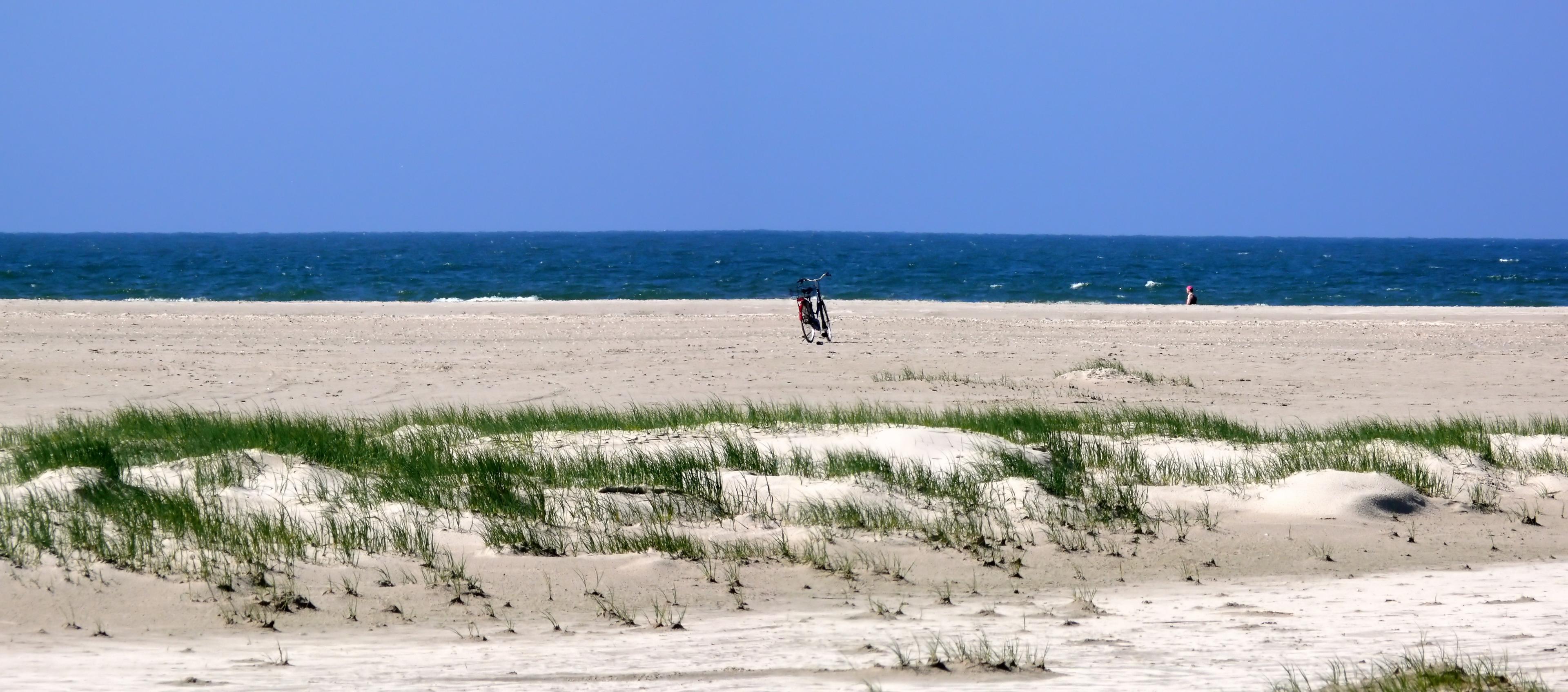 Sandee Rindby Strand