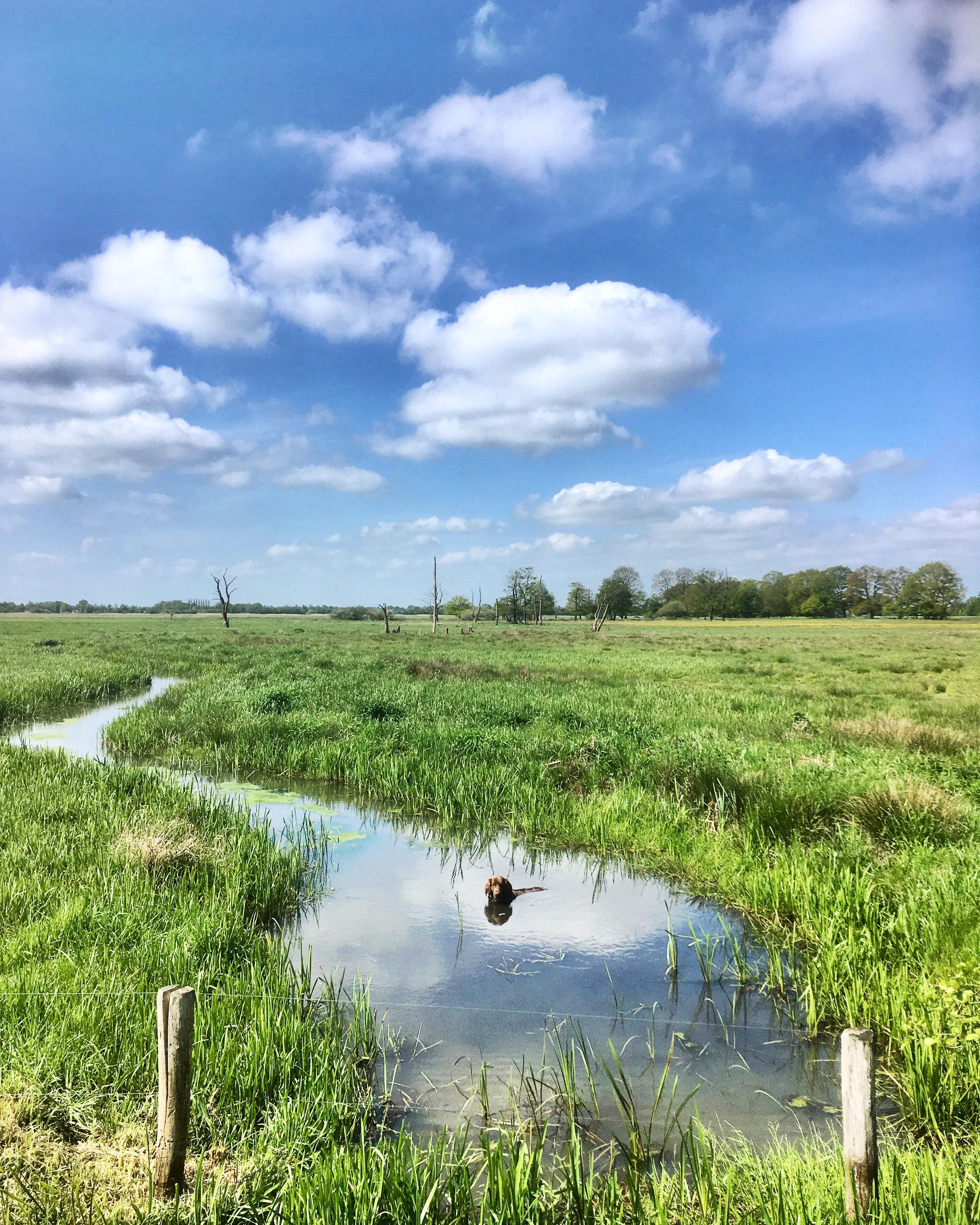 Sandee - Country / Drenthe