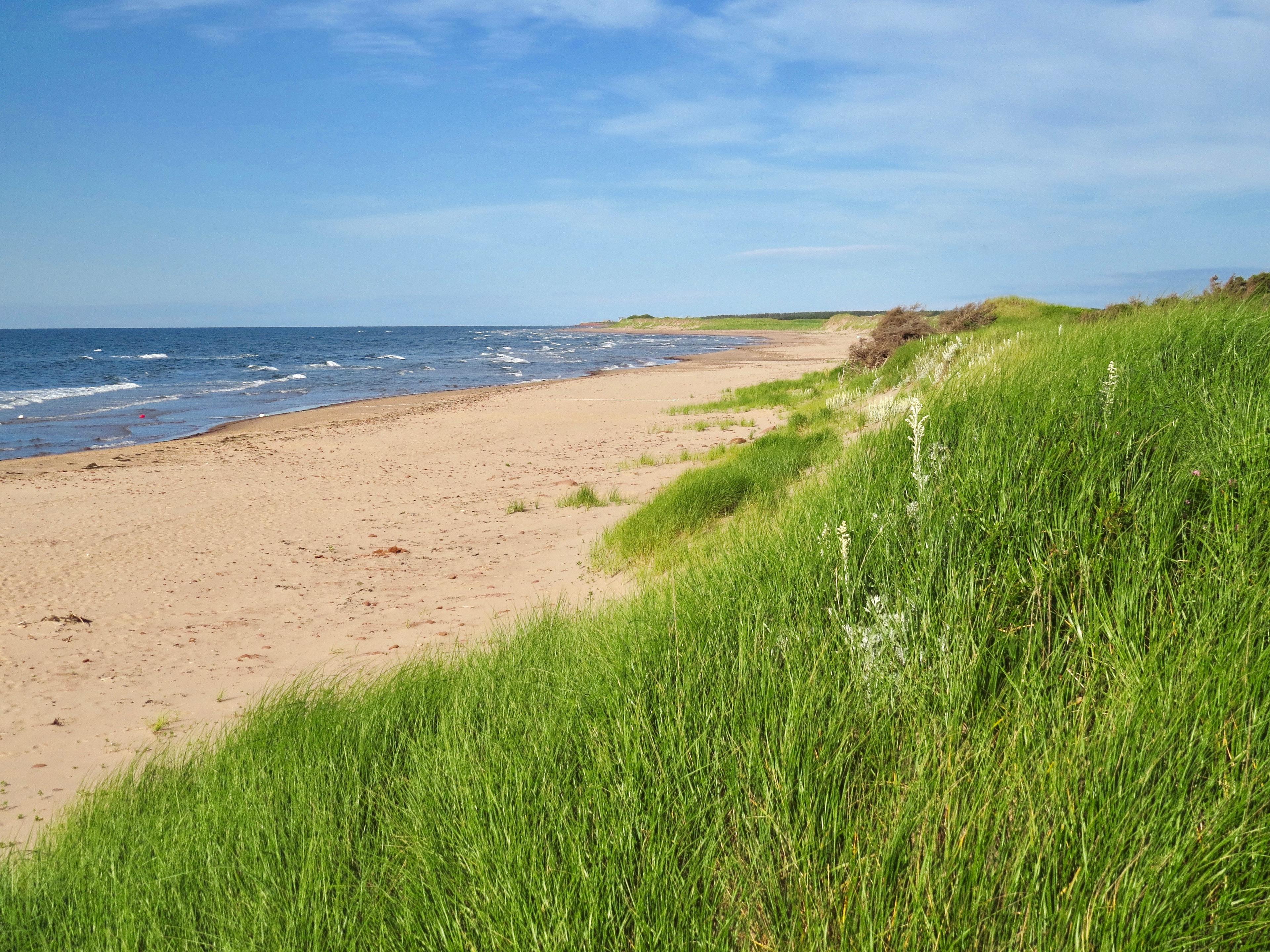 Sandee Prince Edward Park Beach