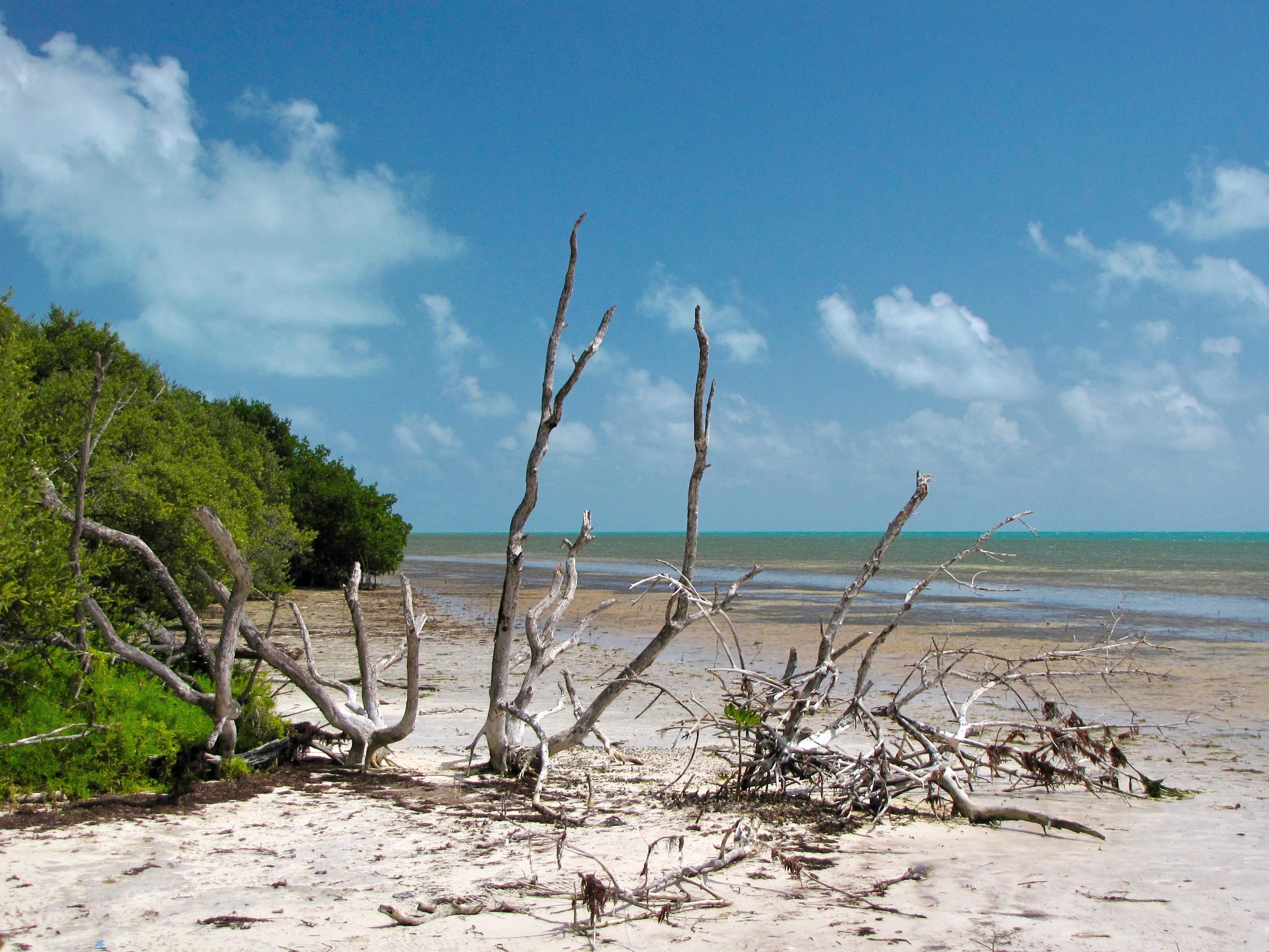 Sandee - Long Key State Park