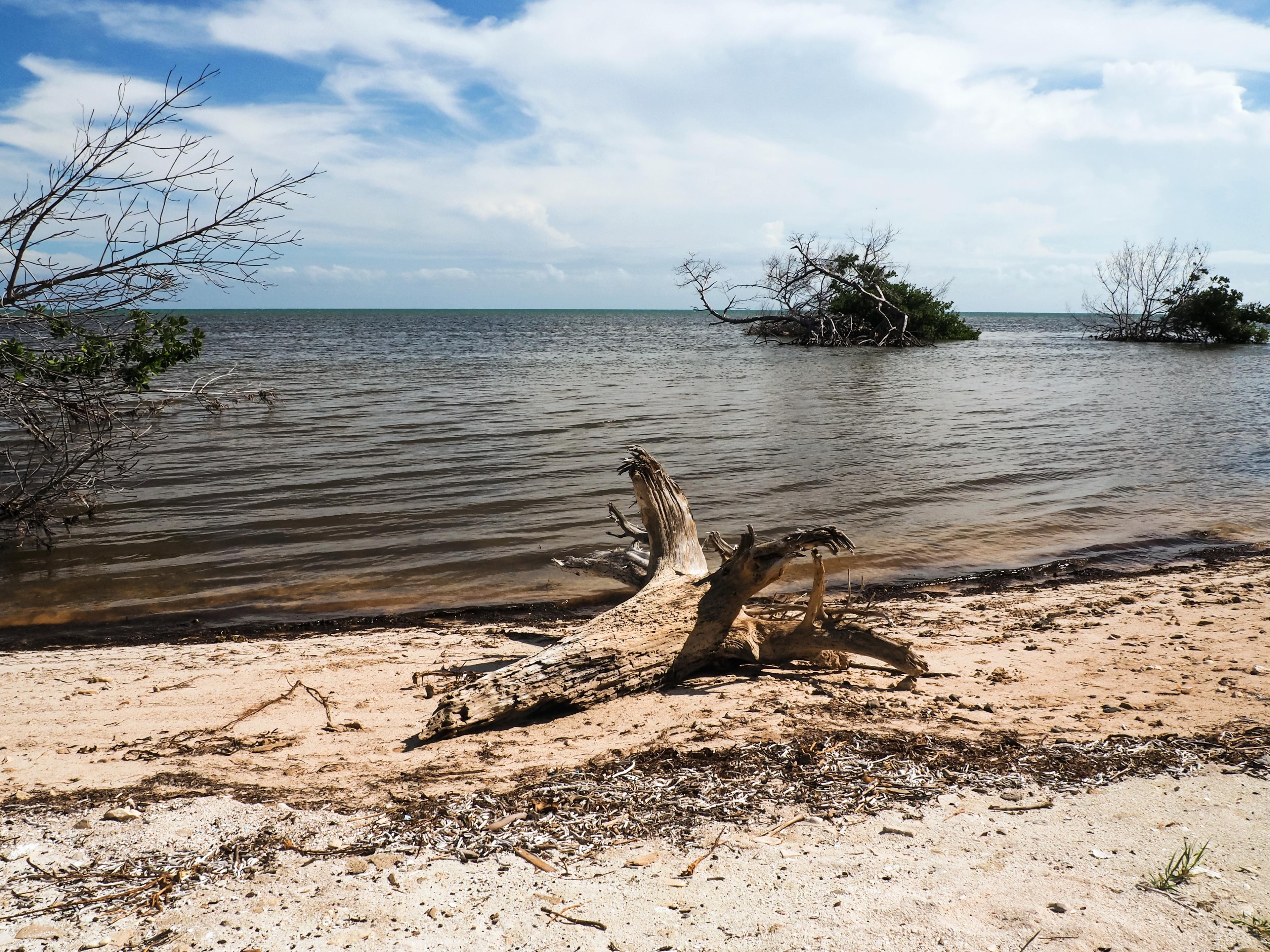 Sandee - Coupon Bight Aquatic Preserve