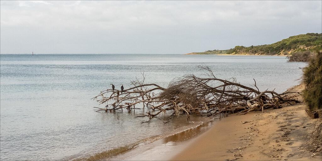 Sandee - Cleeland Bight Beach