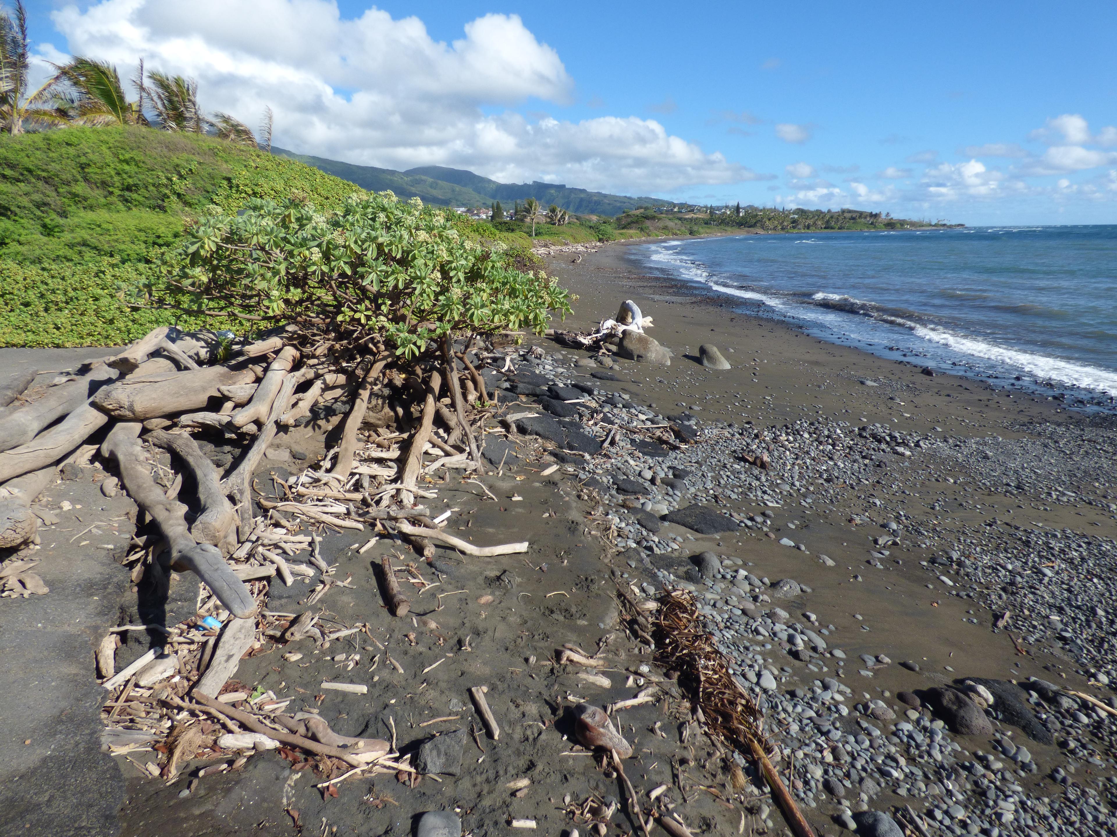 Sandee Paukukalo Beach Photo