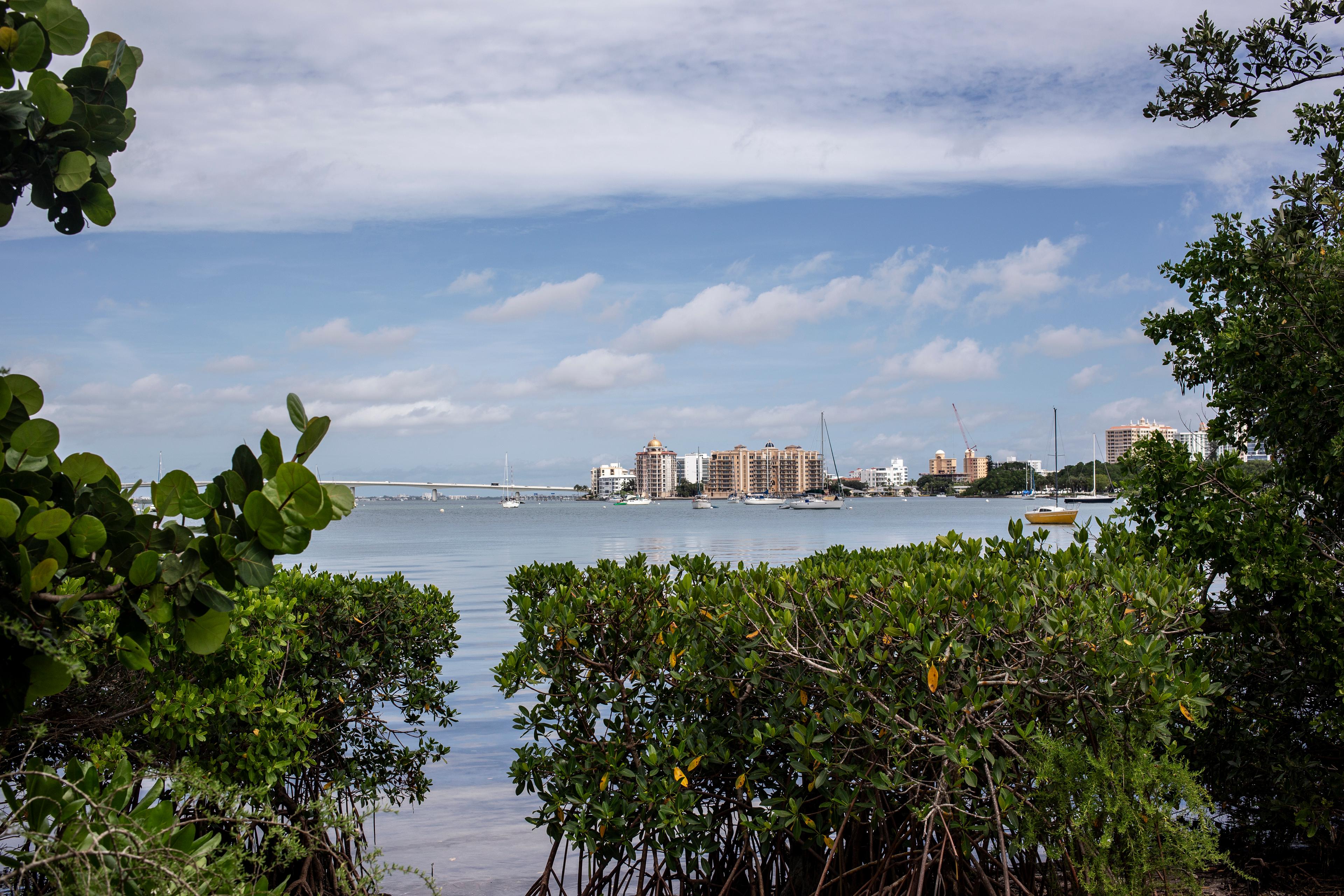 Selby On The Bay Photo - Sandee