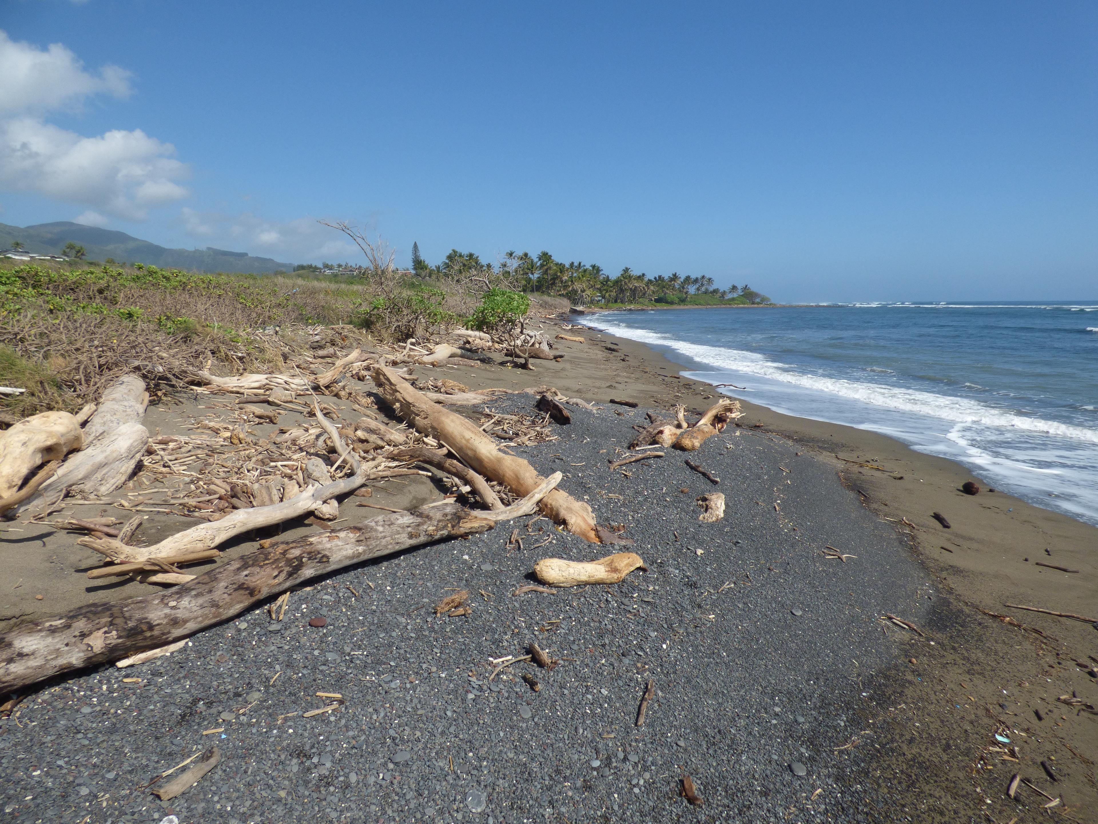 Sandee - Paukukalo Beach